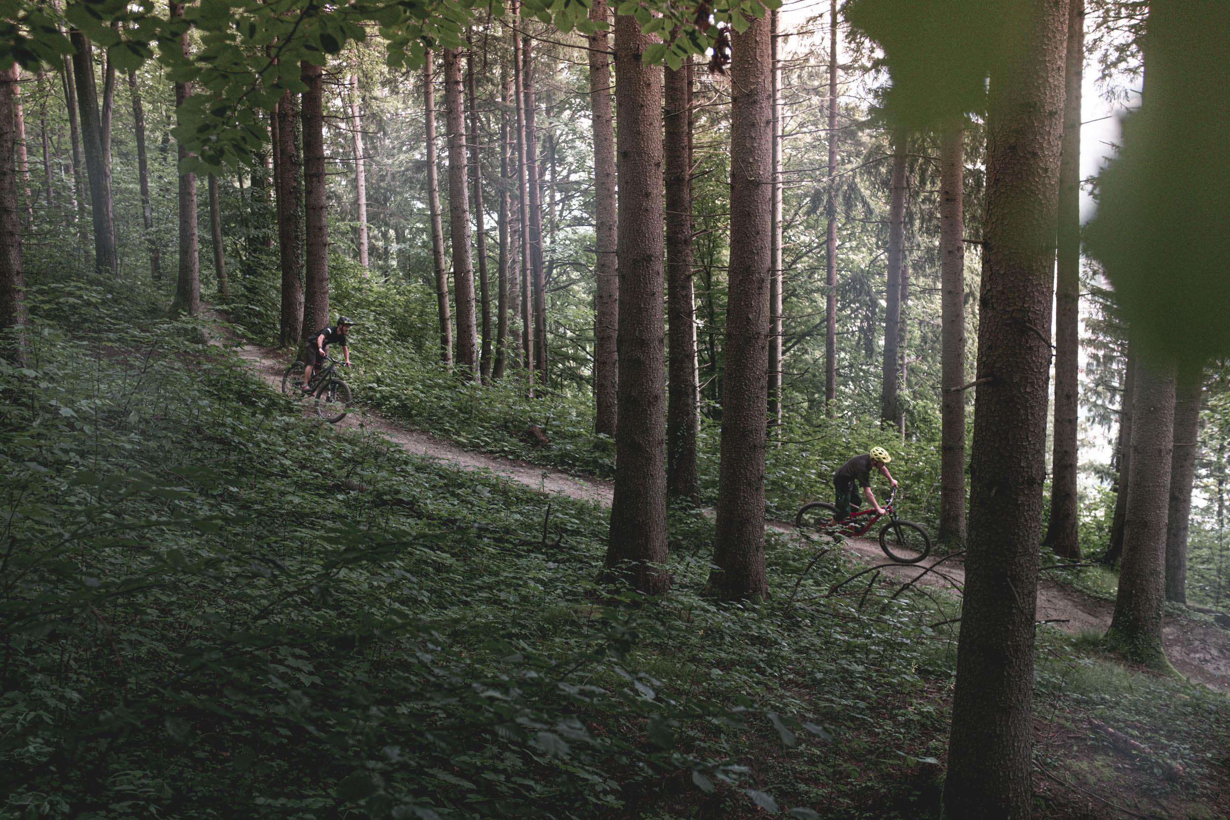 Jonas Nefzger Photography