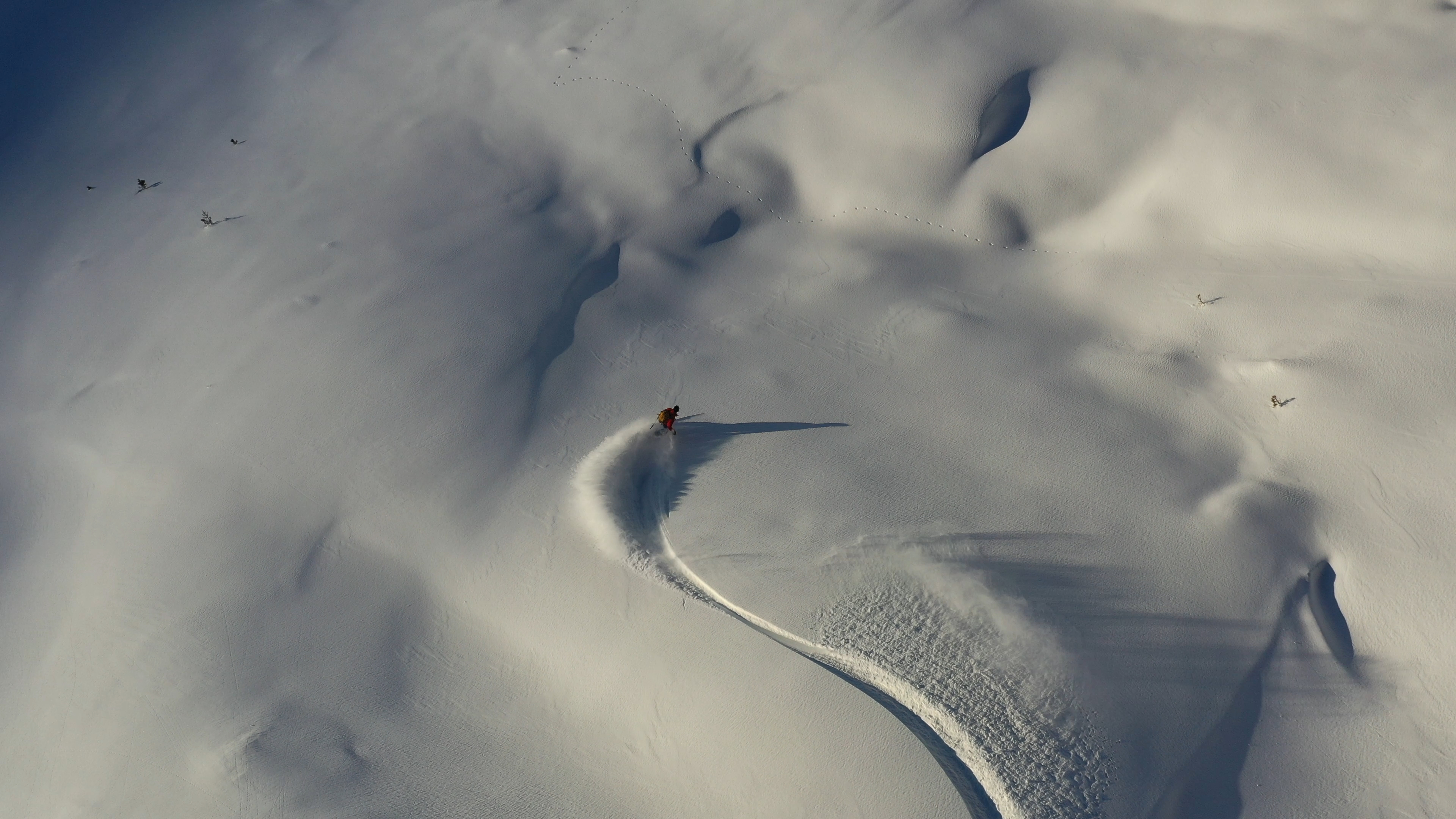 Jonas Nefzger Photography