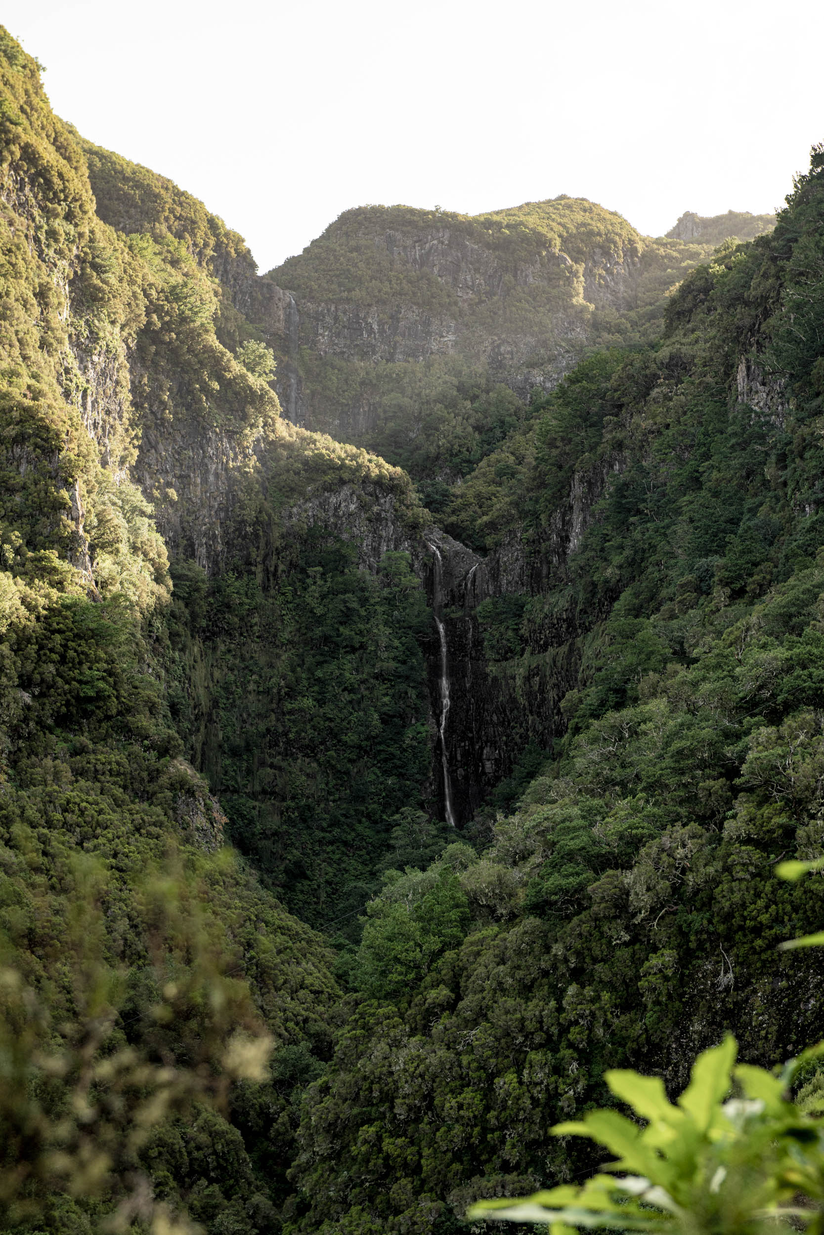 Jonas Nefzger Photography