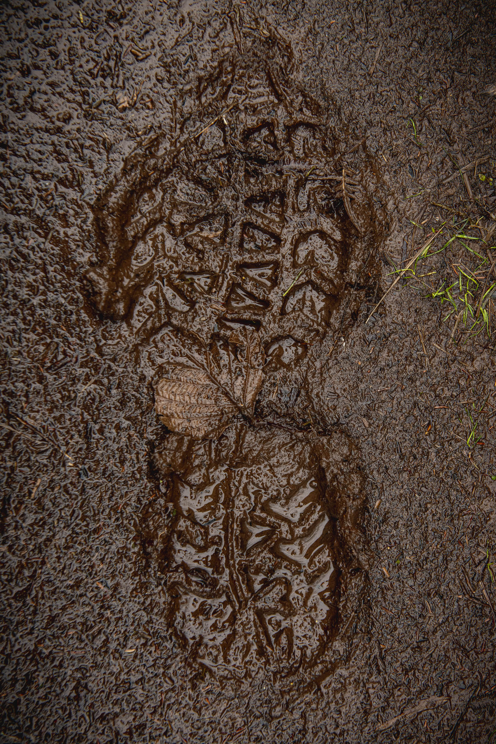 Jonas Nefzger Photography