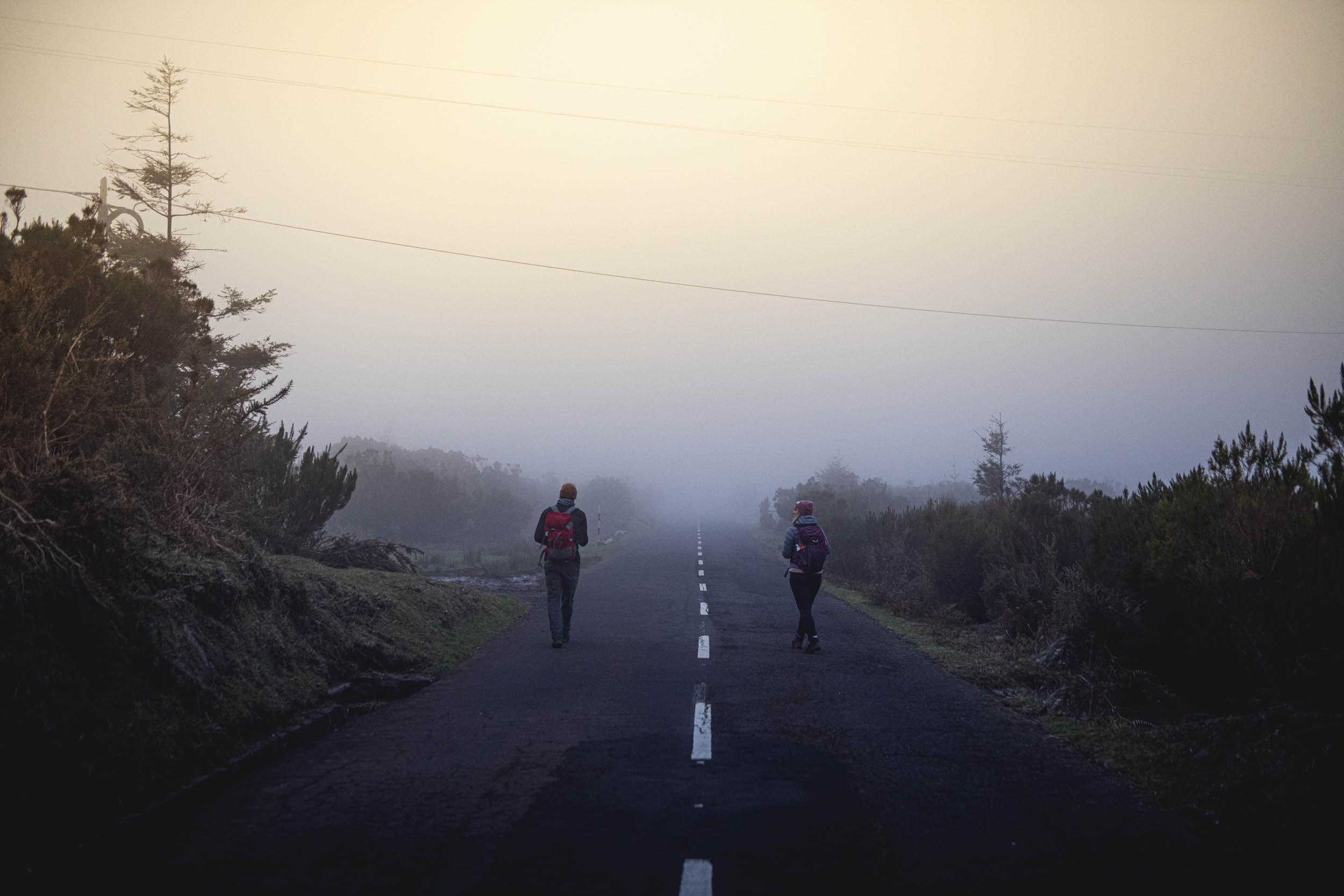 Jonas Nefzger Photography