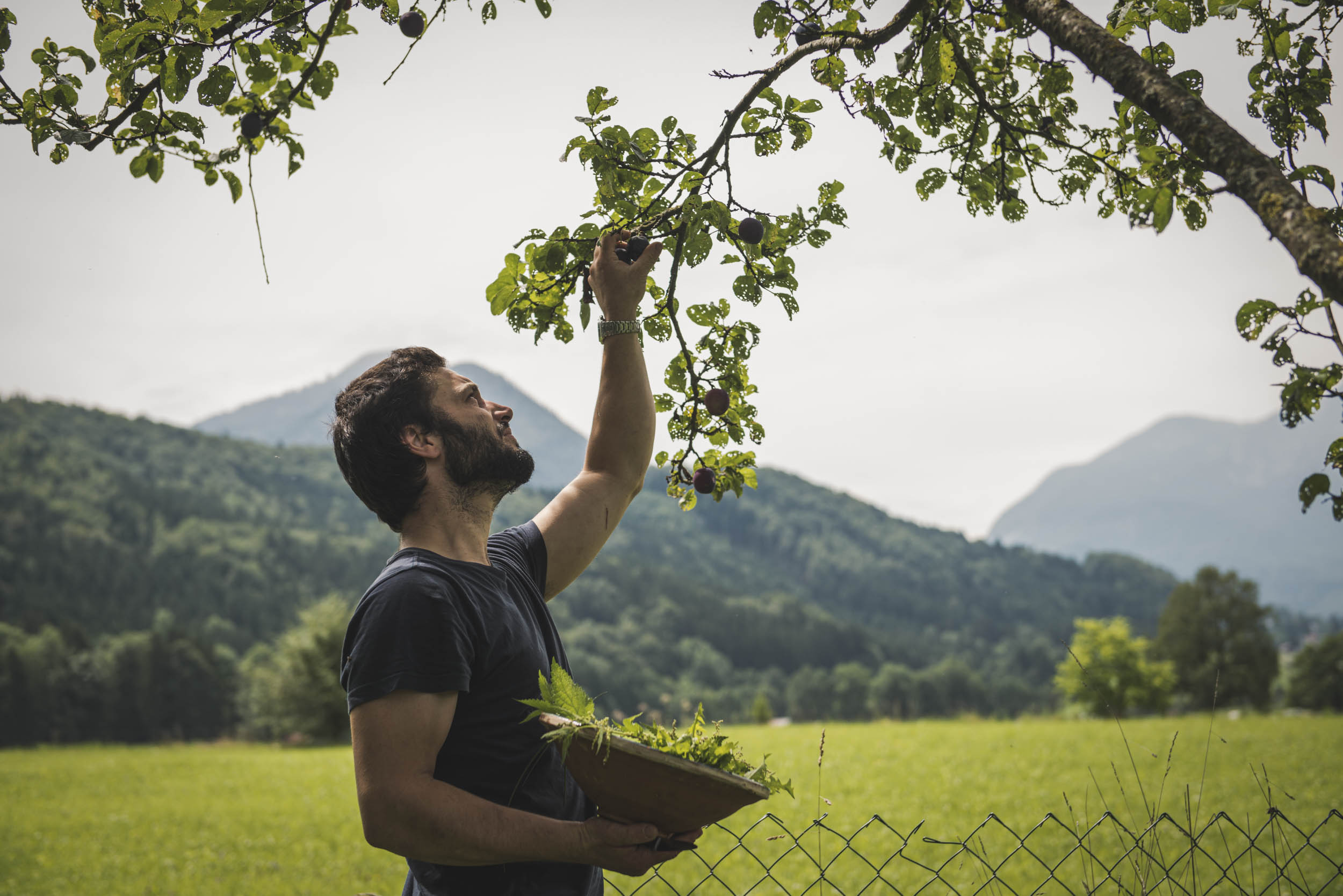 Jonas Nefzger Photography