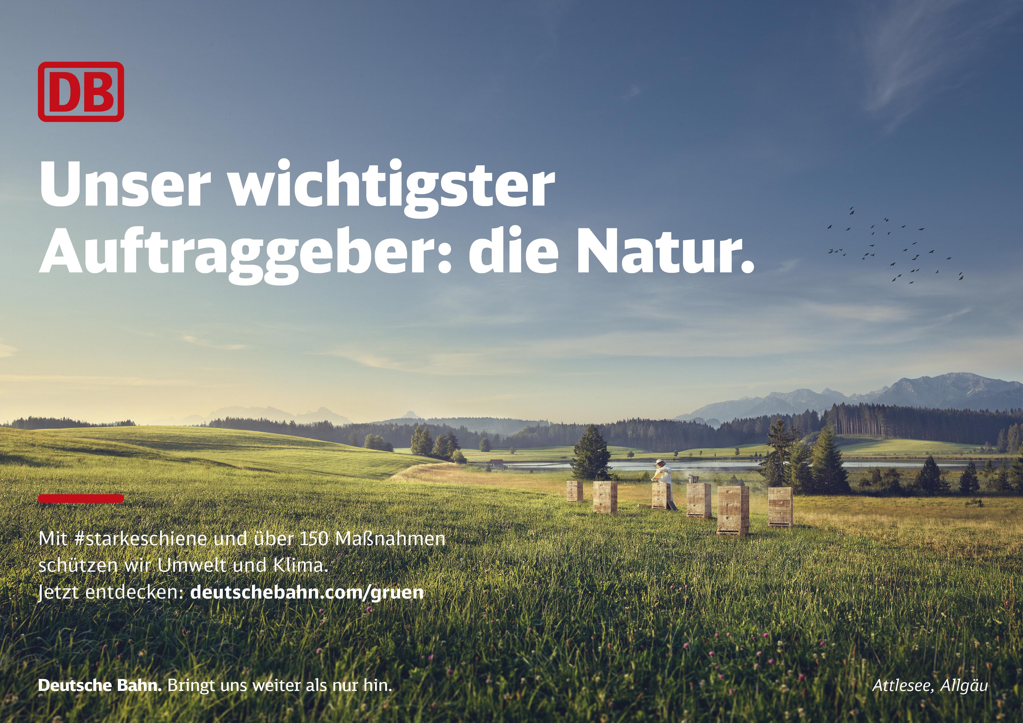 Jonas Nefzger Photography