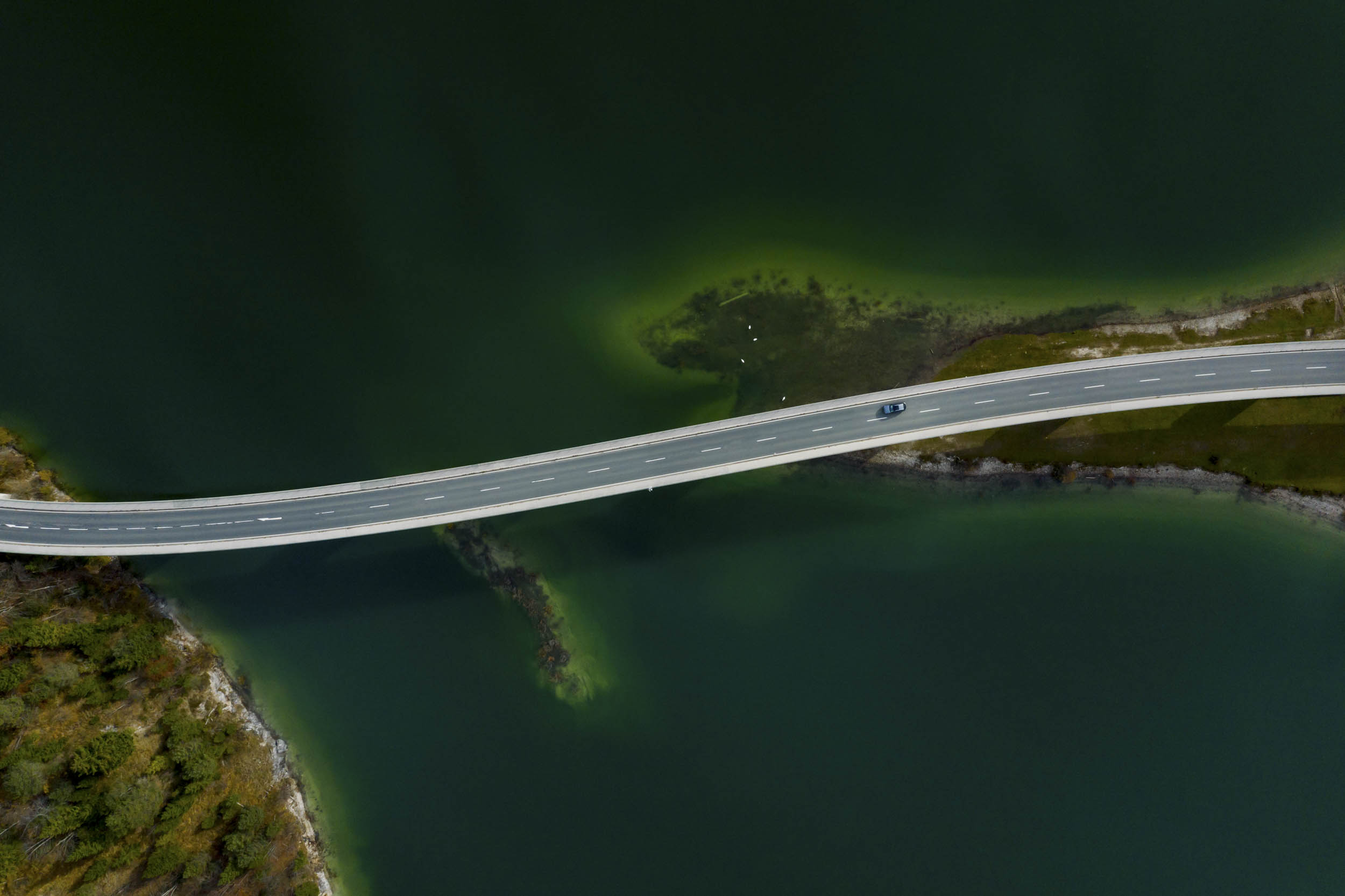 Jonas Nefzger Photography