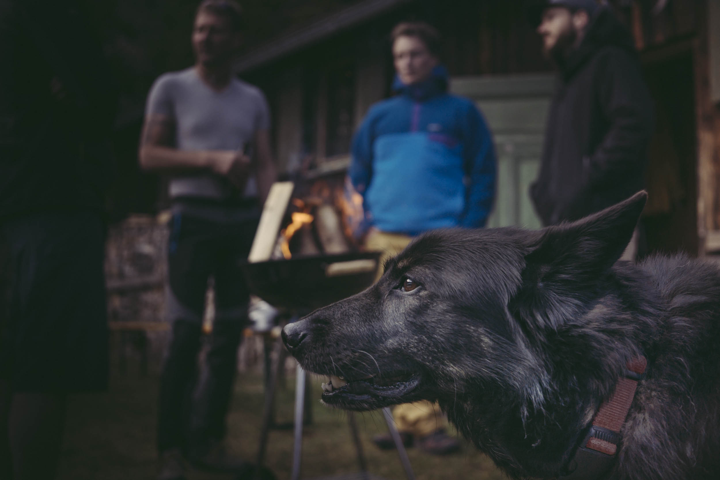 Jonas Nefzger Photography