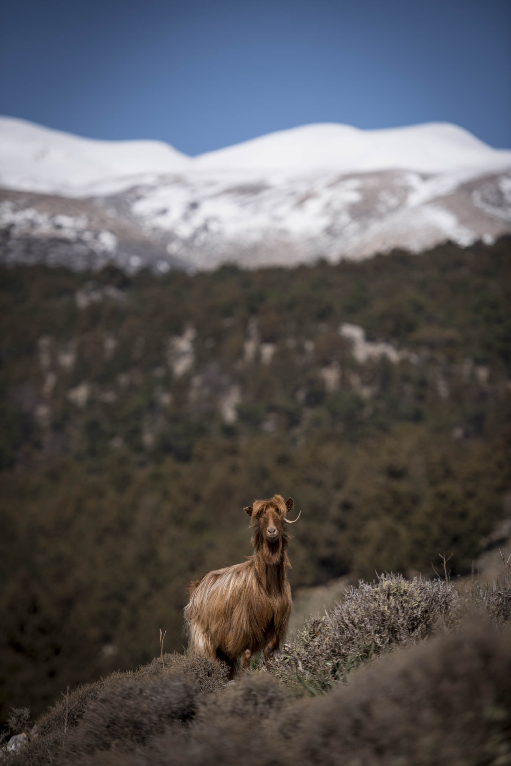 Jonas Nefzger Photography