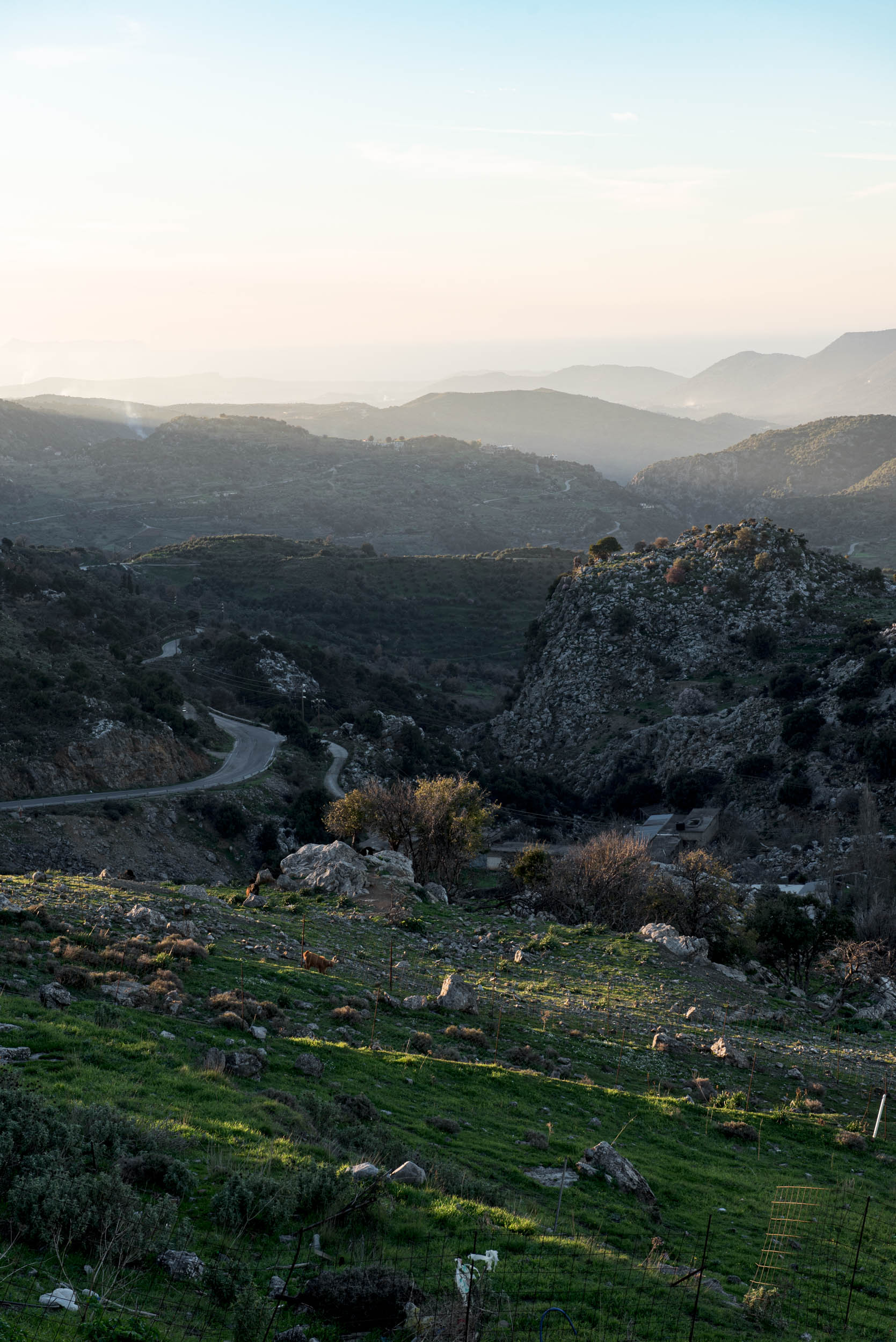 Jonas Nefzger Photography