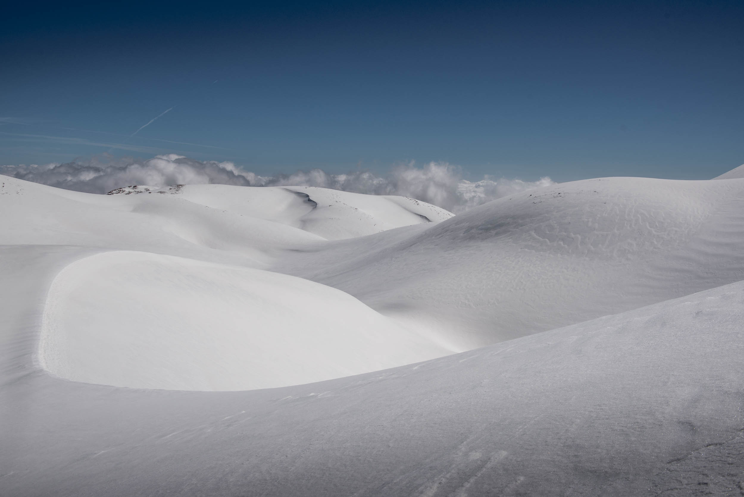 Jonas Nefzger Photography