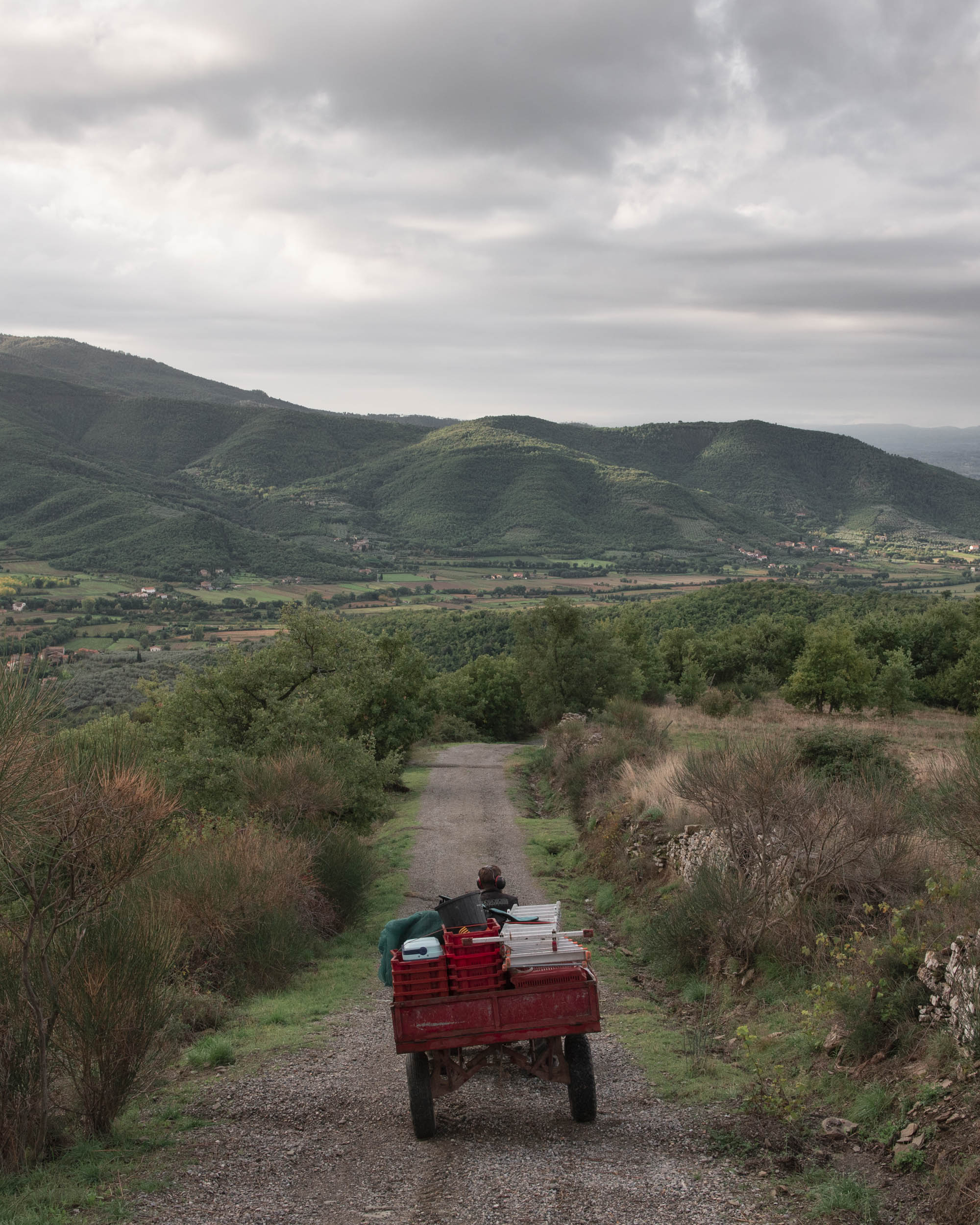 Jonas Nefzger Photography