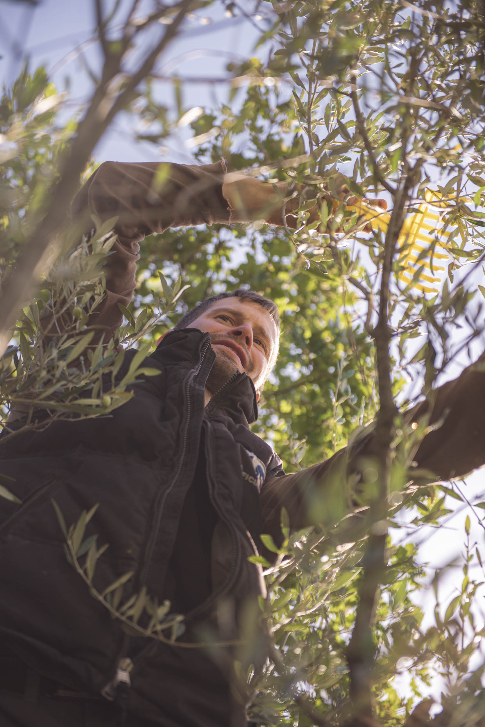 Jonas Nefzger Photography