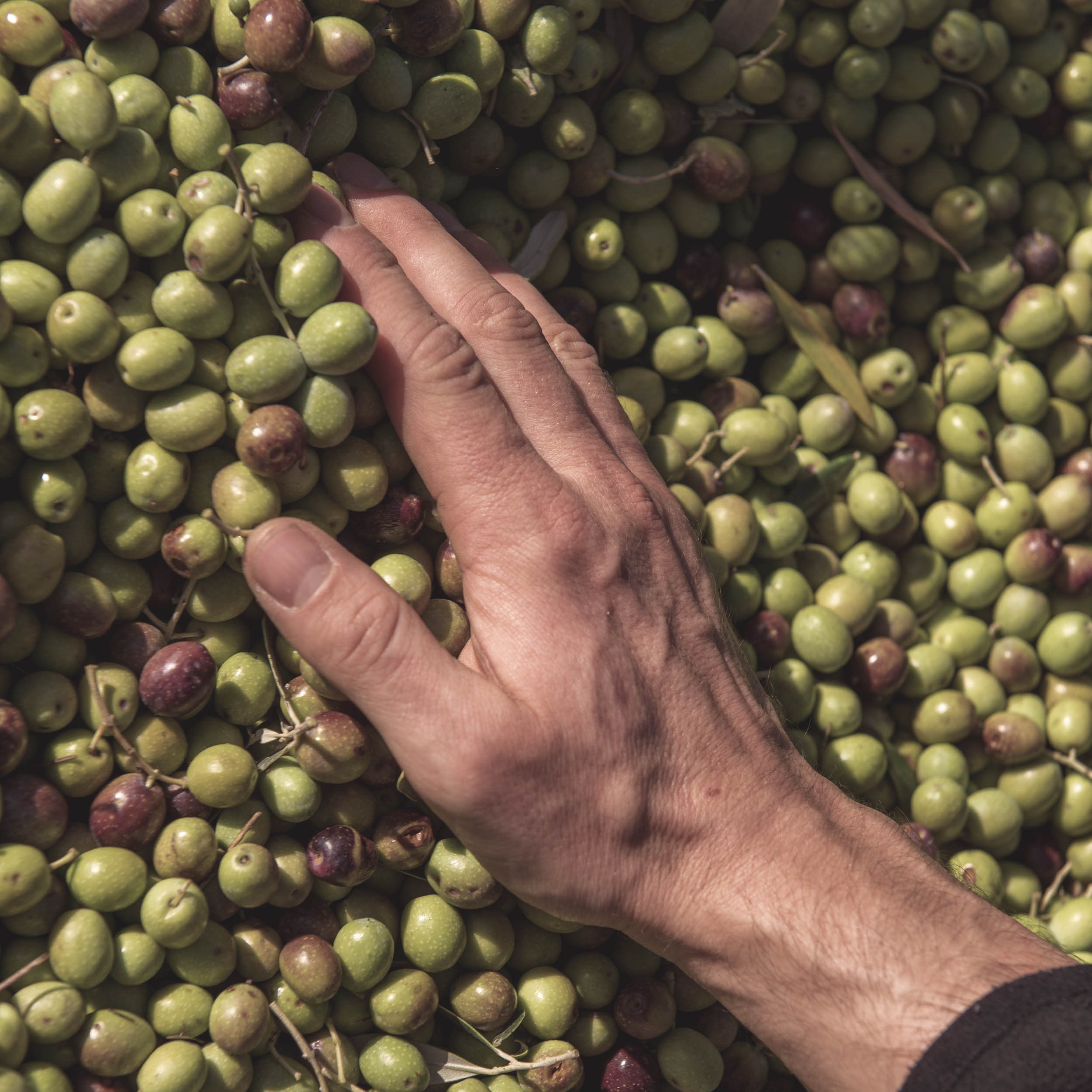 Jonas Nefzger Photography