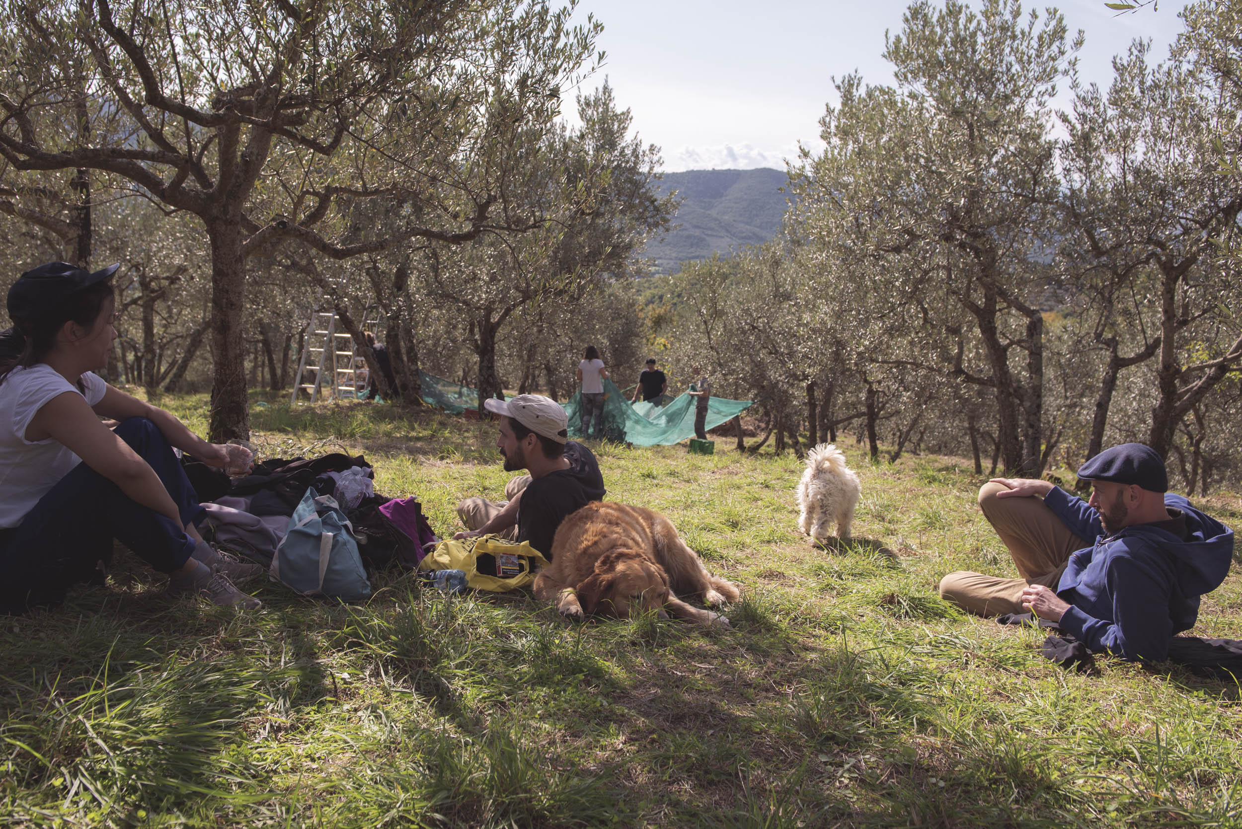 Jonas Nefzger Photography