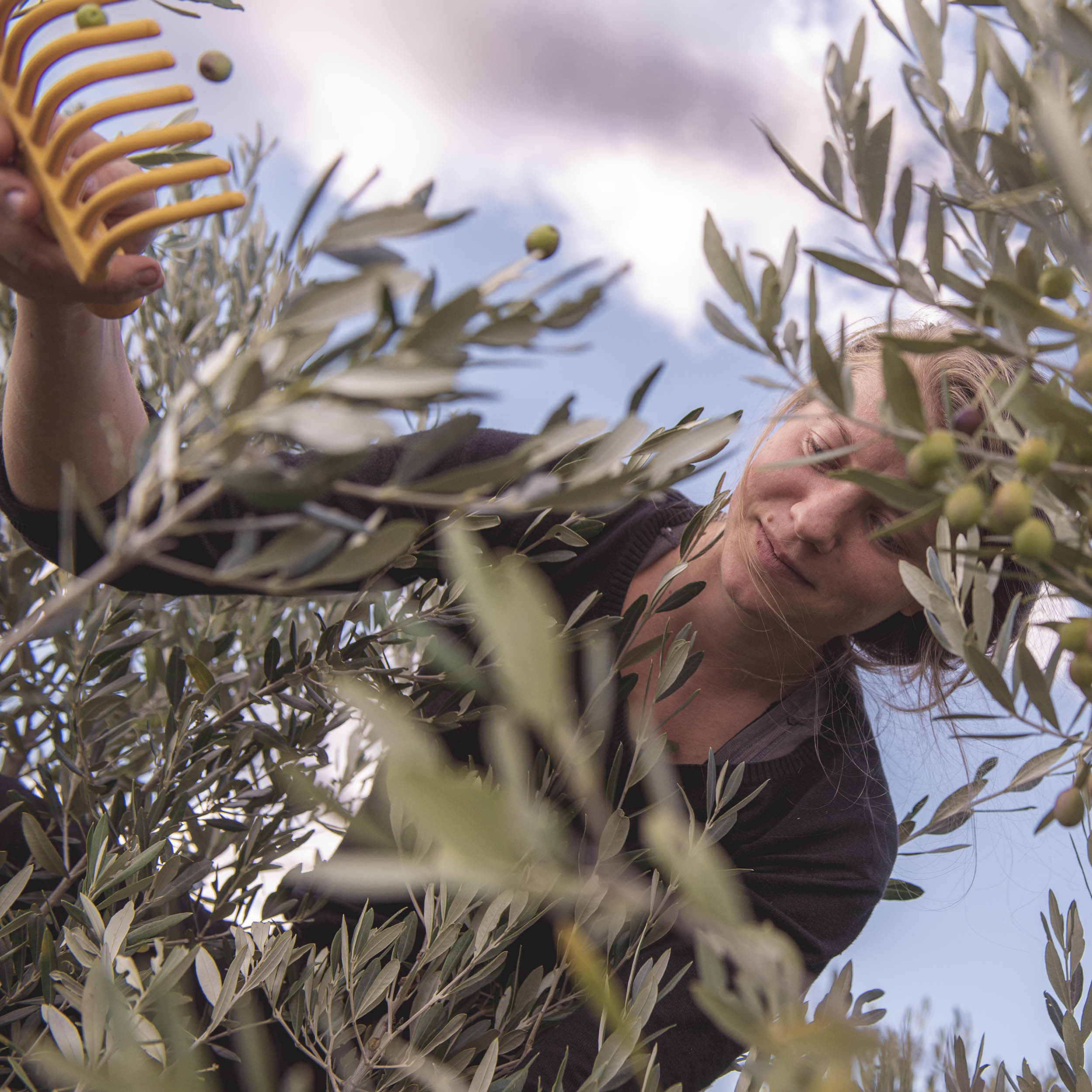 Jonas Nefzger Photography