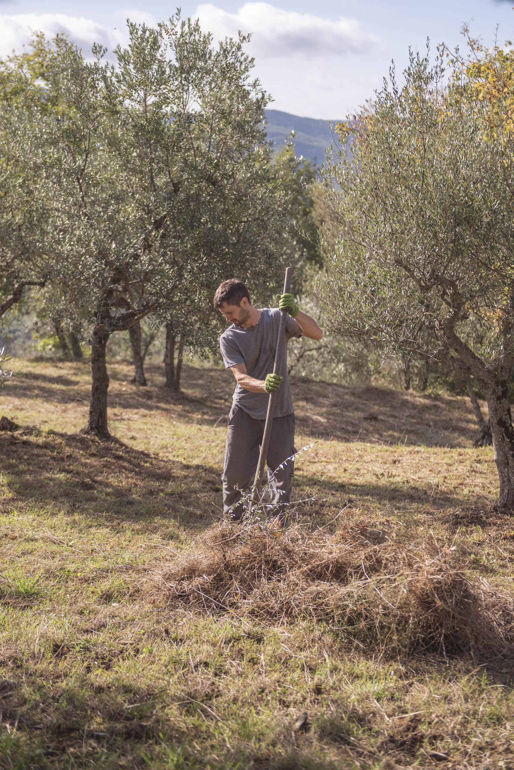 Jonas Nefzger Photography