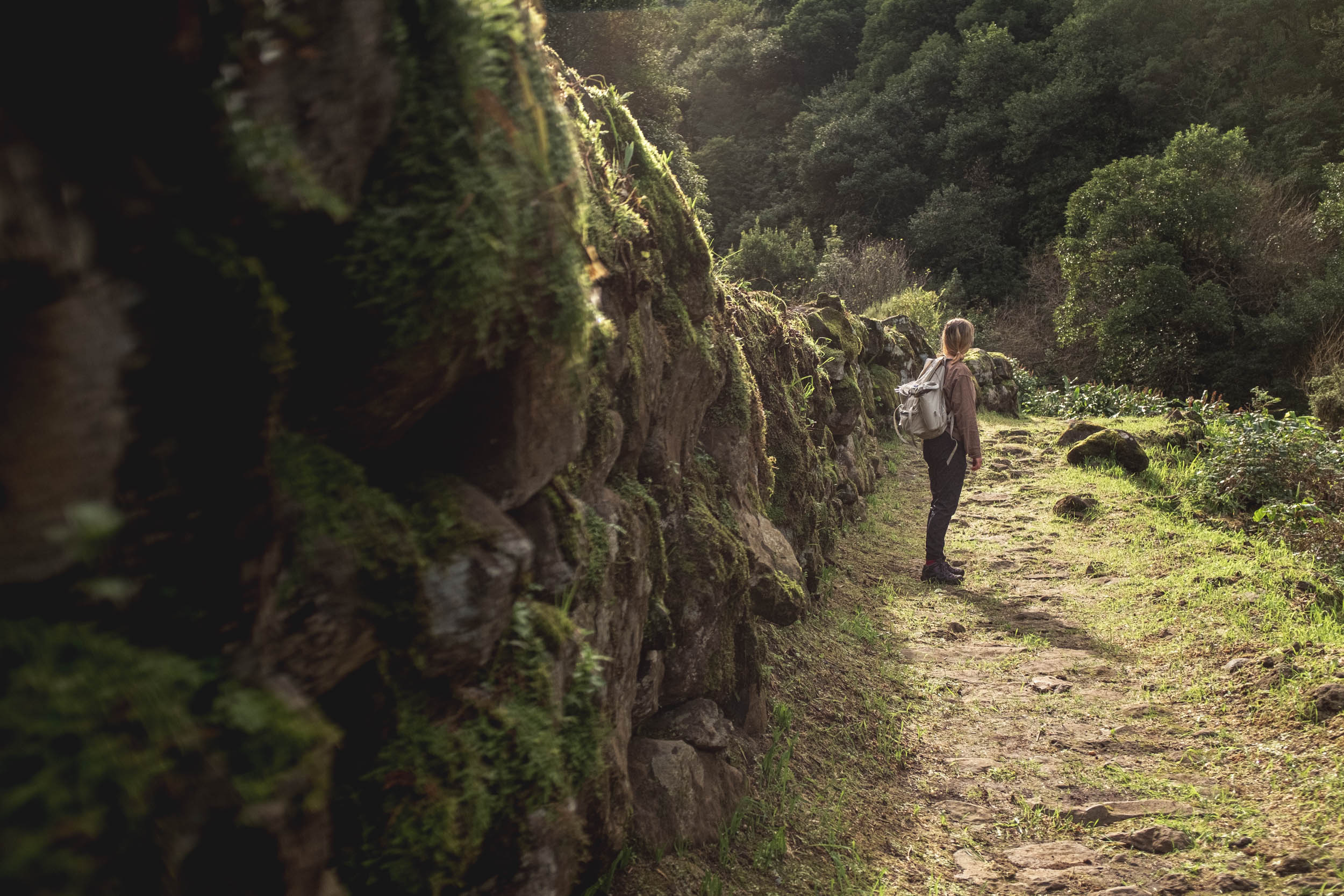 Jonas Nefzger Photography