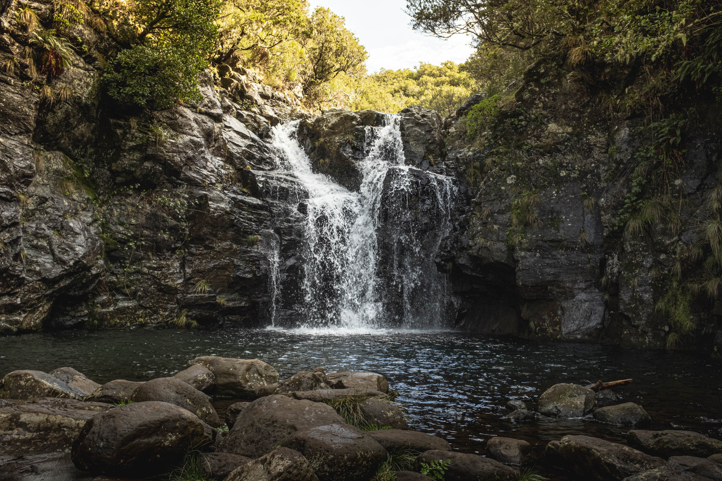 Jonas Nefzger Photography