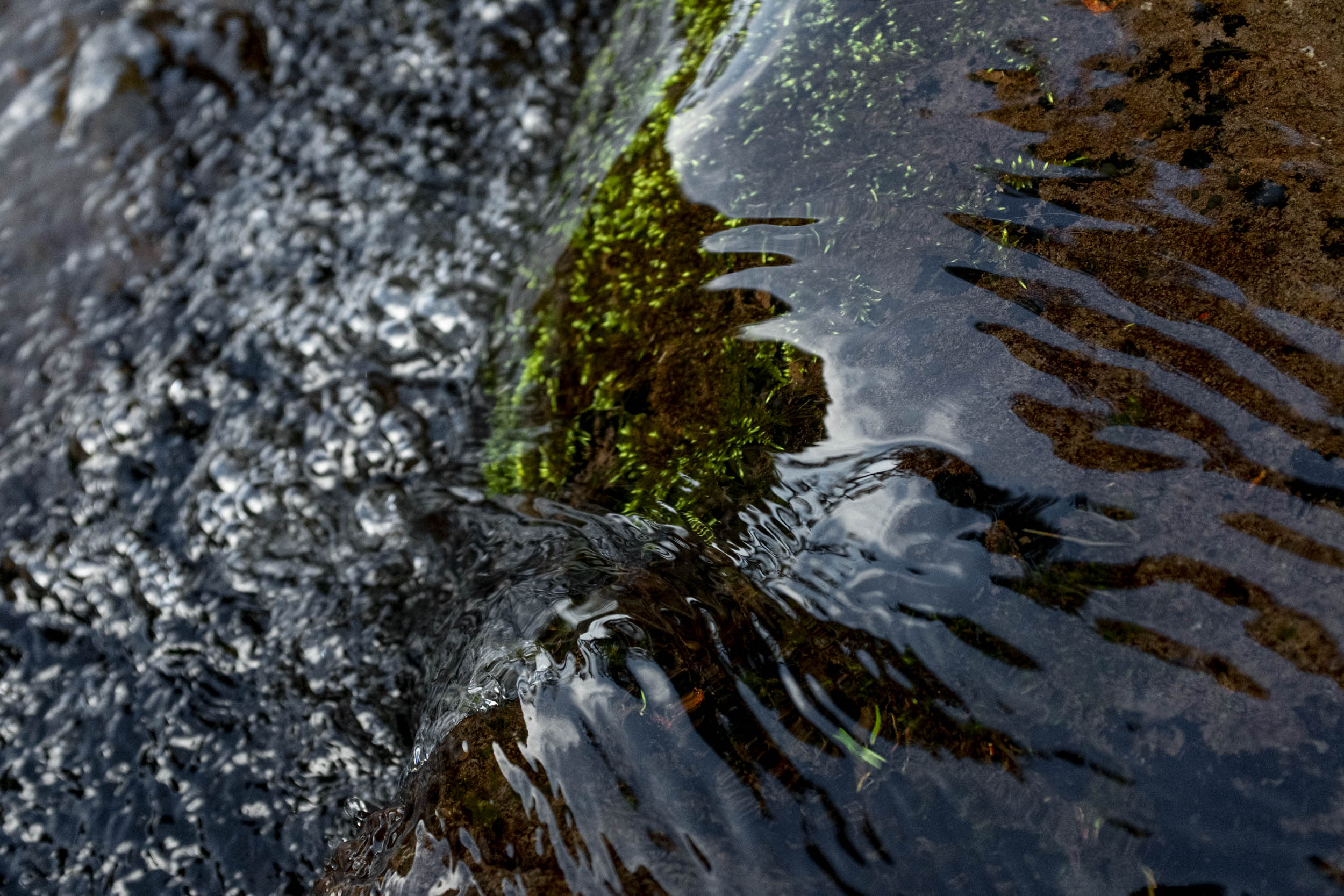 Jonas Nefzger Photography