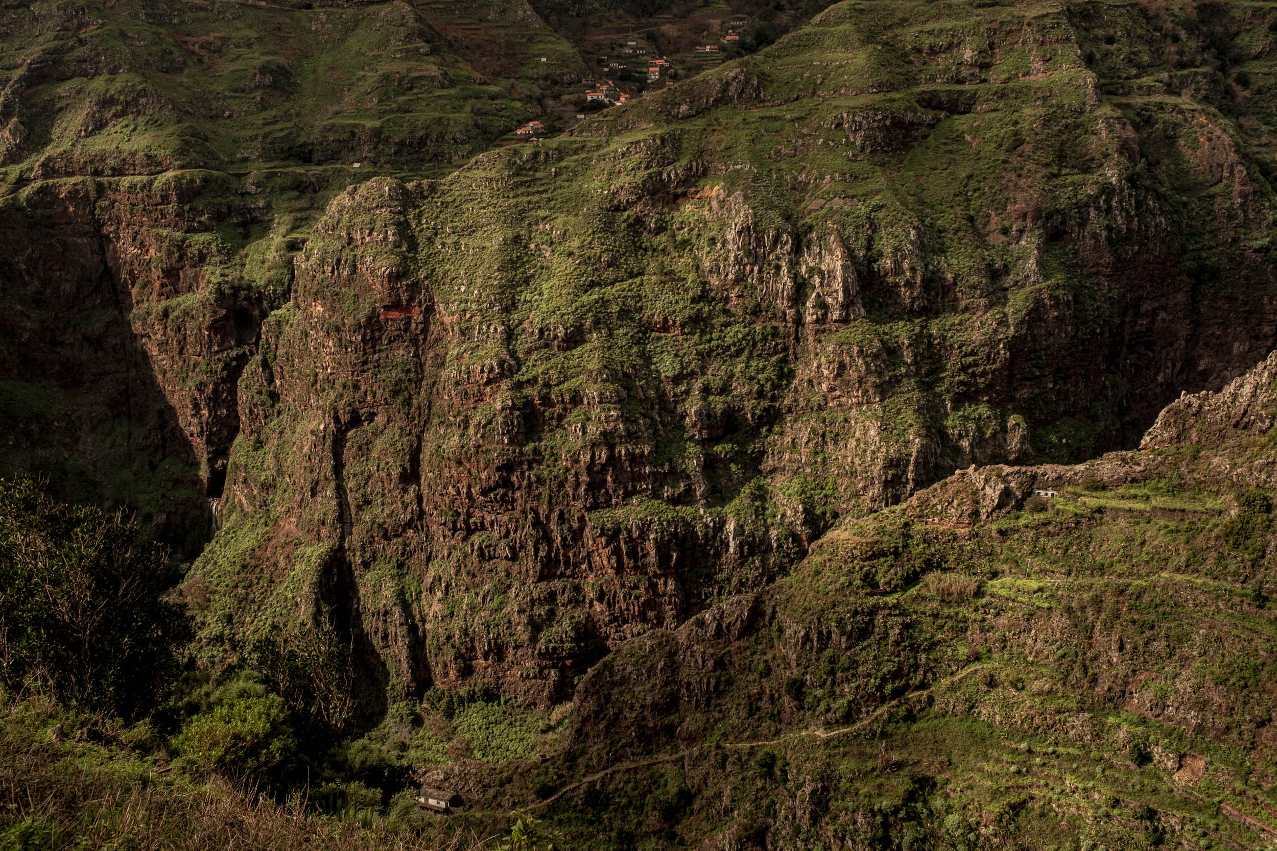 Jonas Nefzger Photography