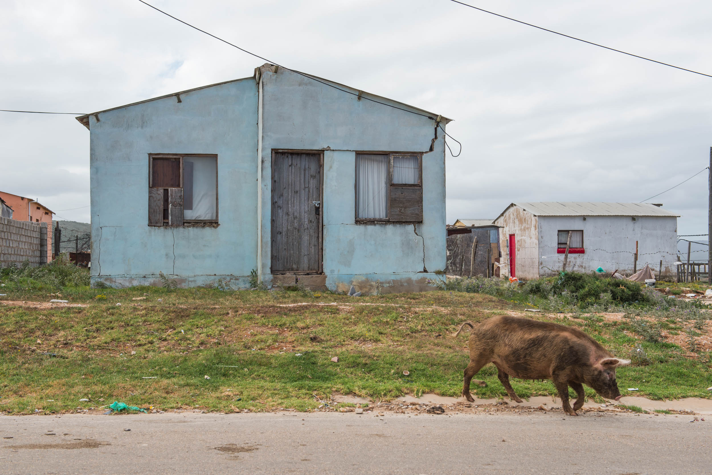 Jonas Nefzger Photography