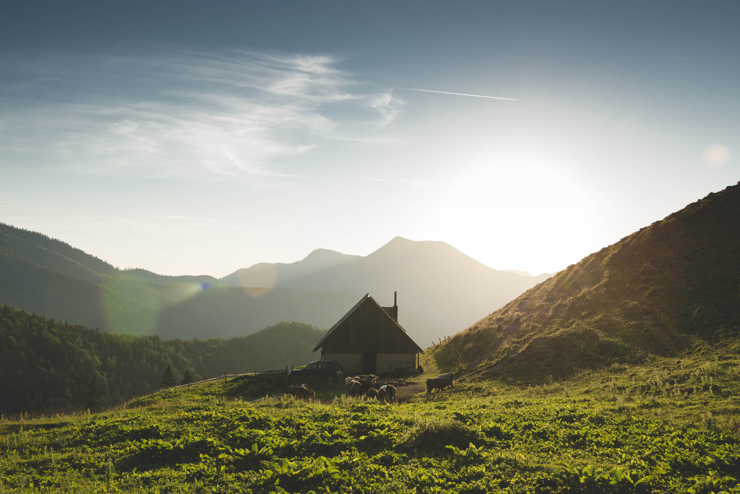 Jonas Nefzger Photography