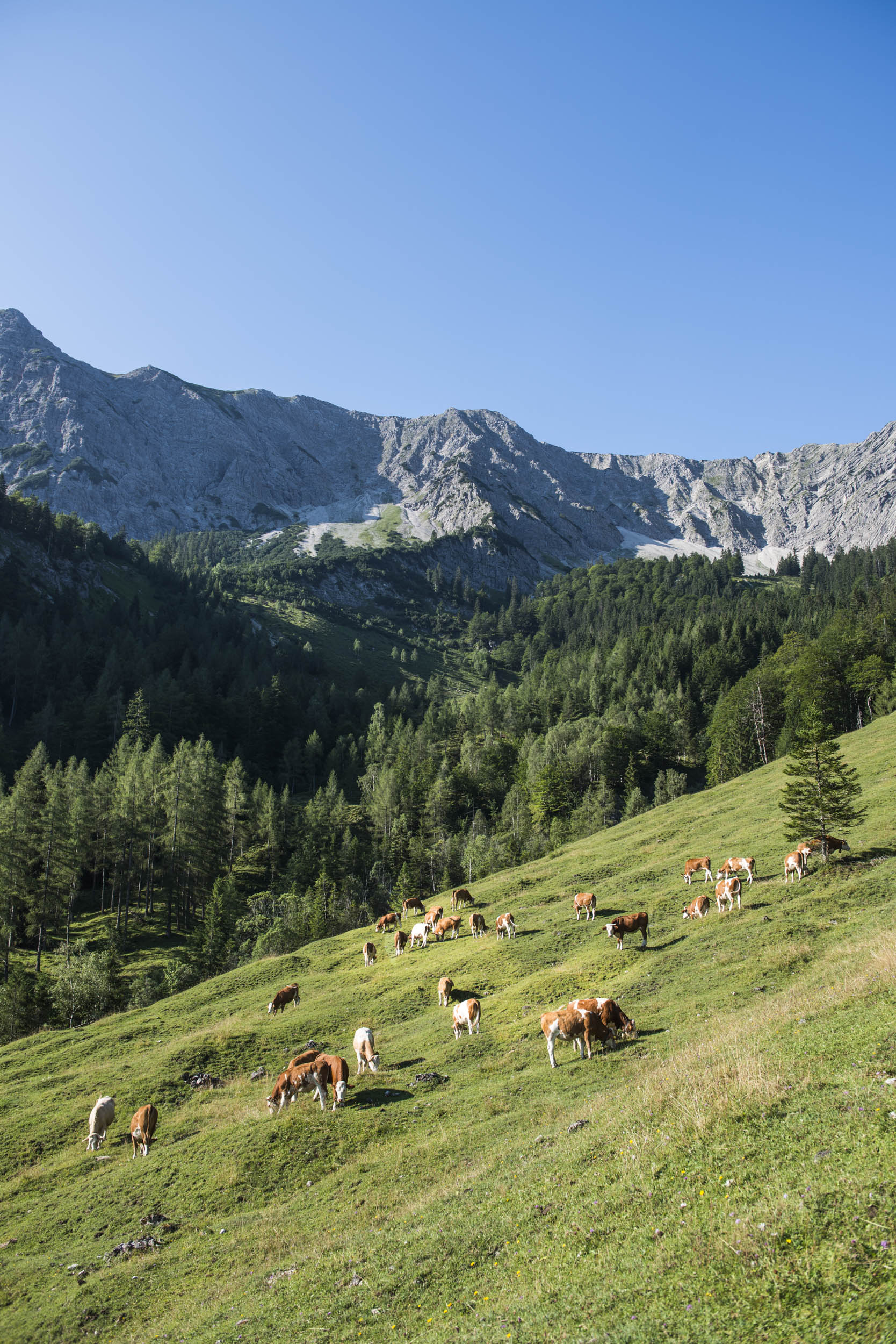 Jonas Nefzger Photography