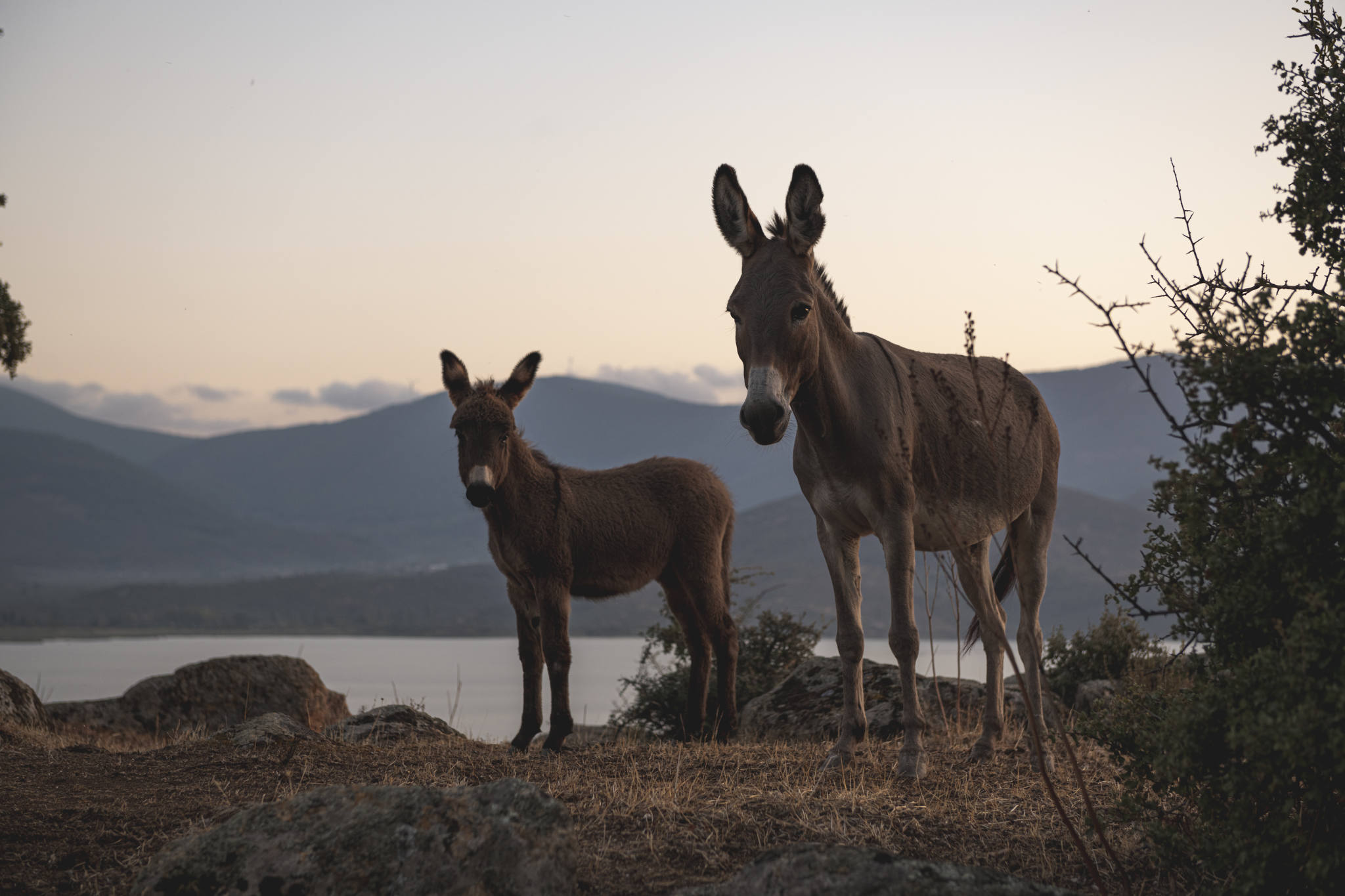Jonas Nefzger Photography