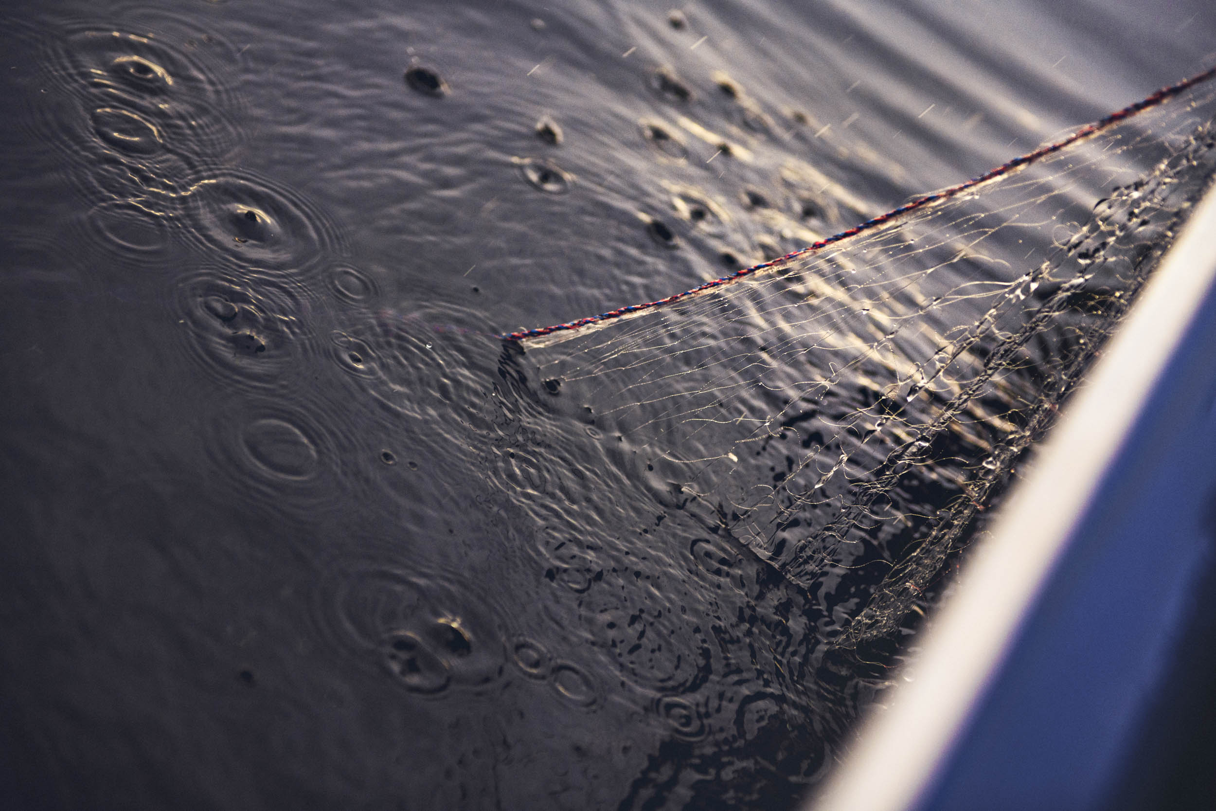 Jonas Nefzger Photography