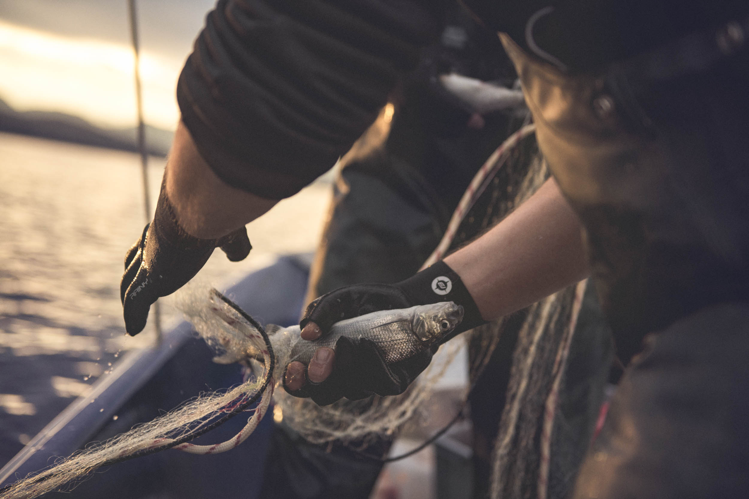 Jonas Nefzger Photography