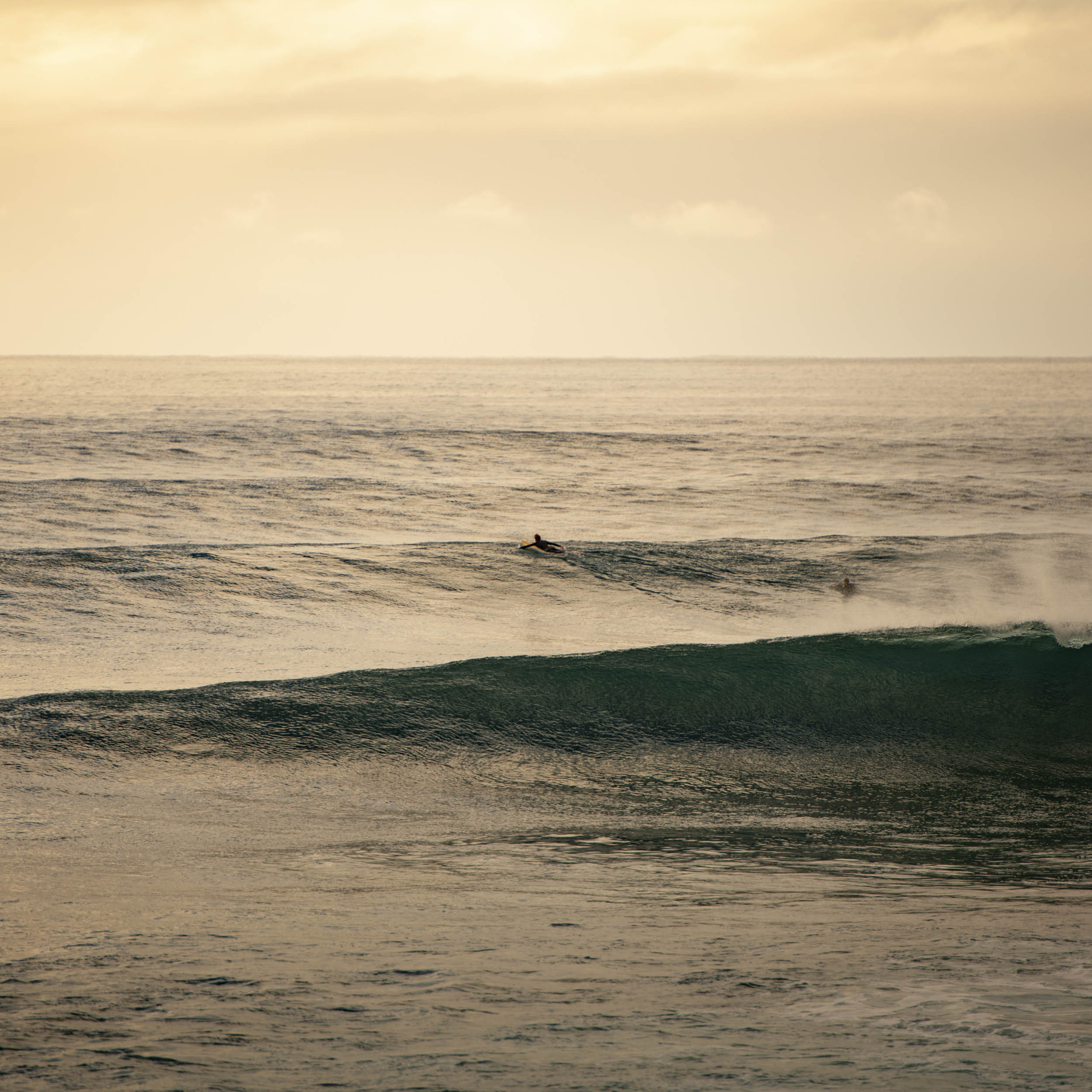 Jonas Nefzger Photography