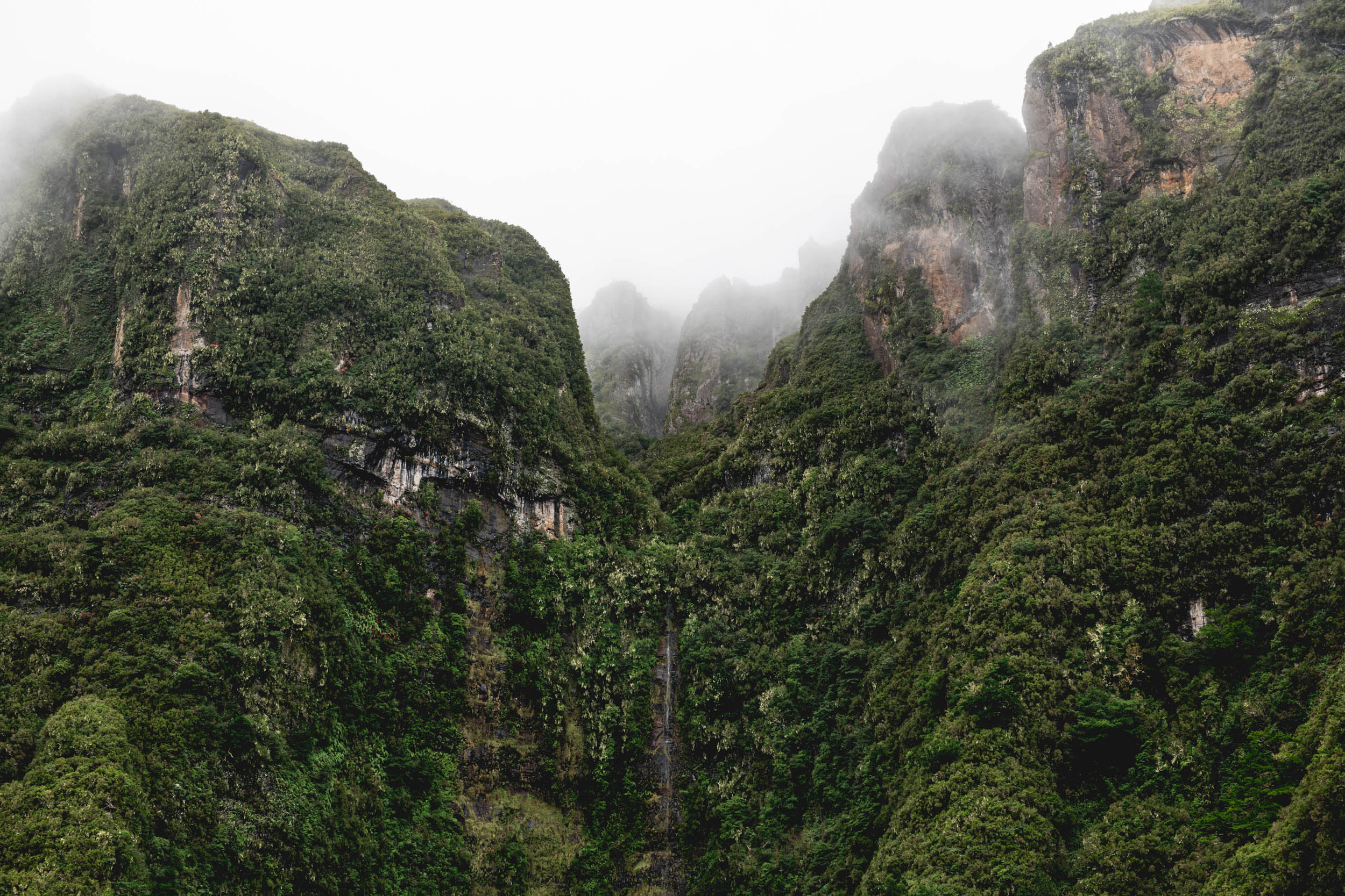 Jonas Nefzger Photography