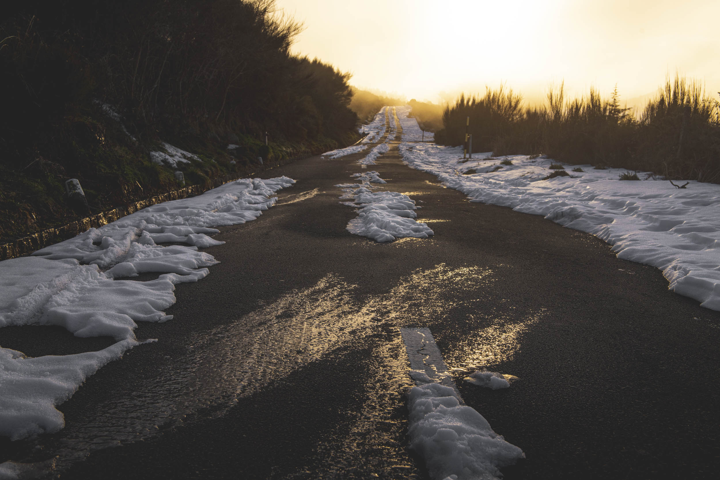 Jonas Nefzger Photography