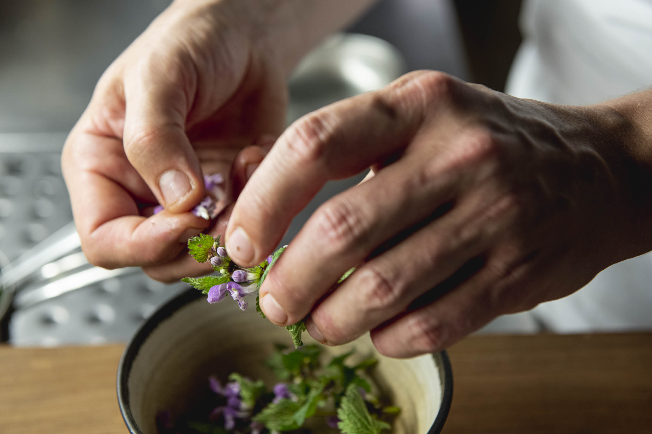 Jonas Nefzger Photography