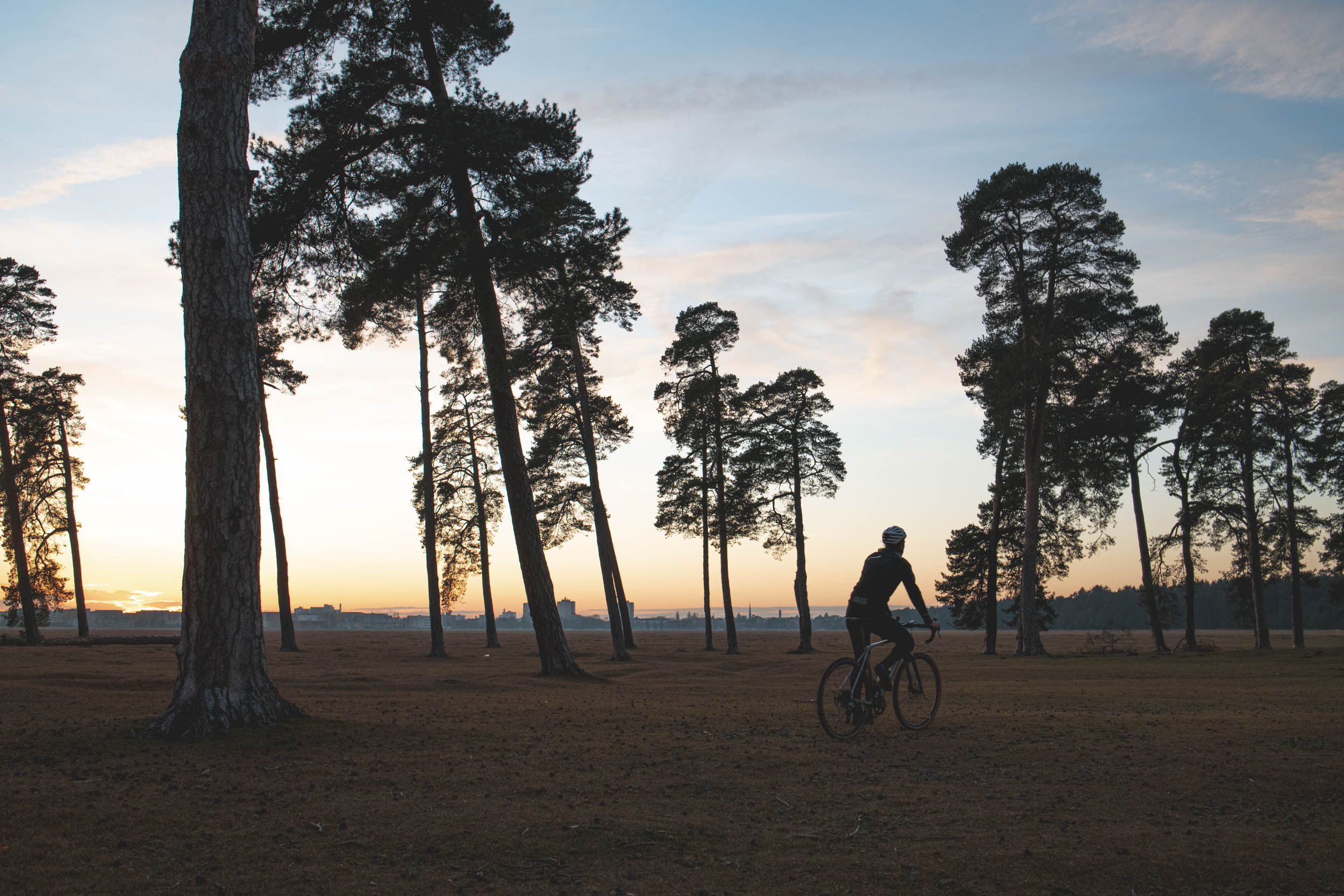 Jonas Nefzger Photography