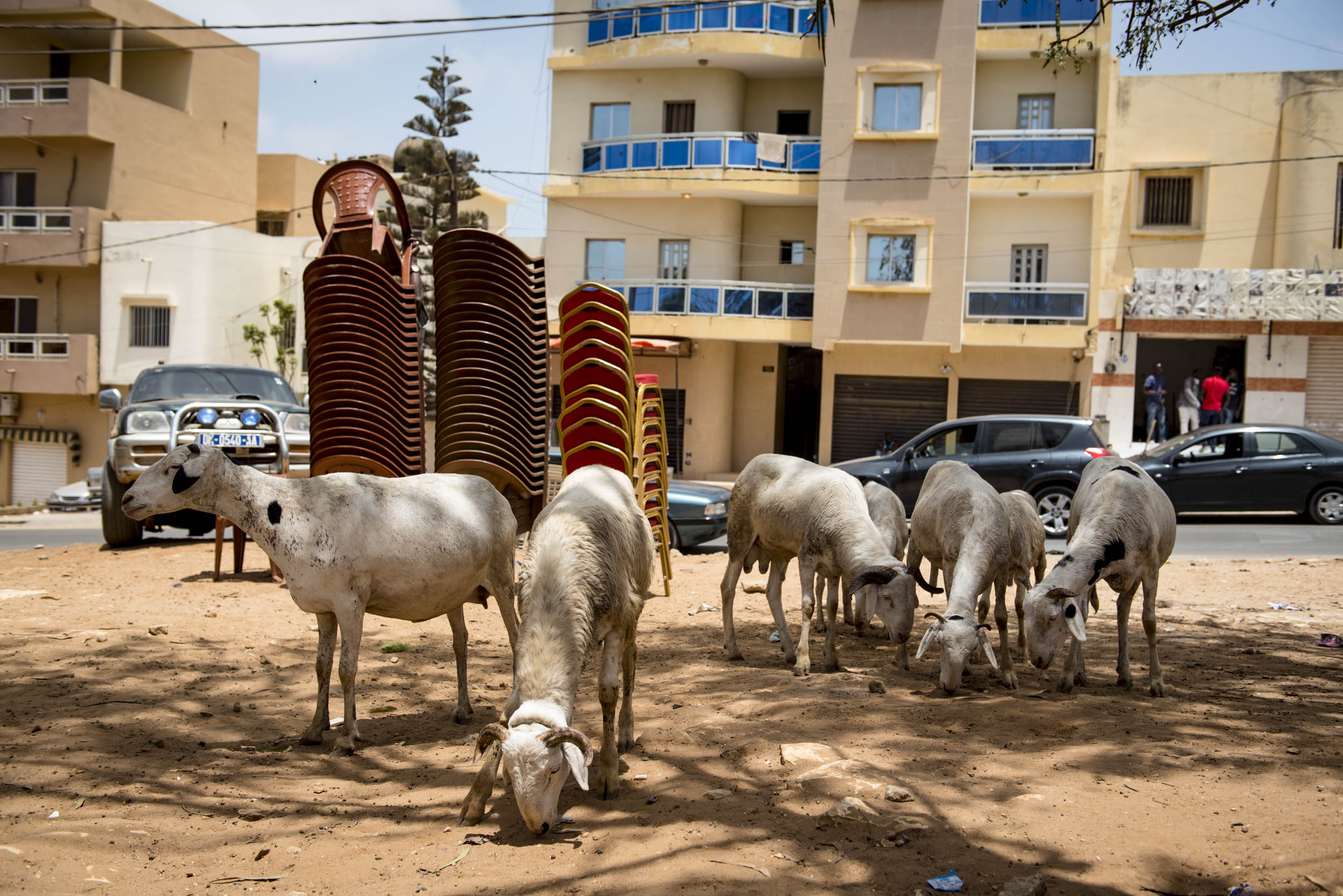 Jonas Nefzger Photography