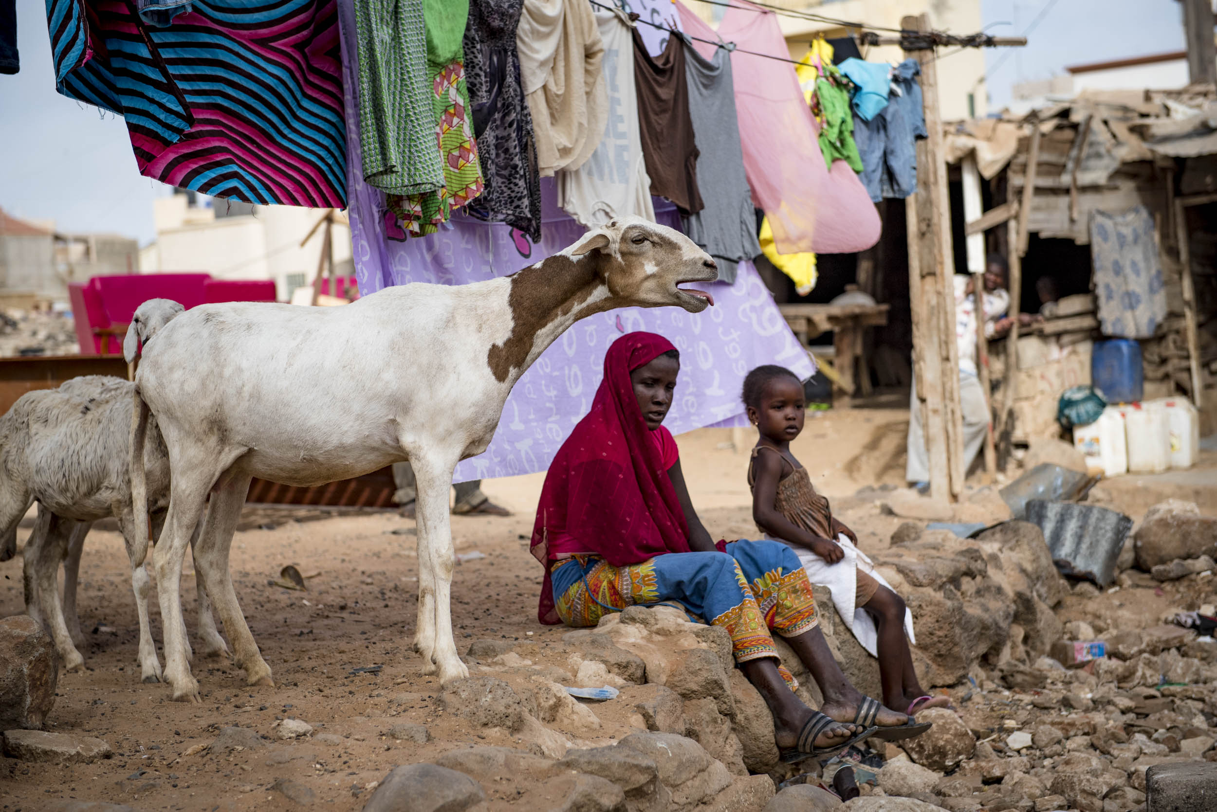 Jonas Nefzger Photography