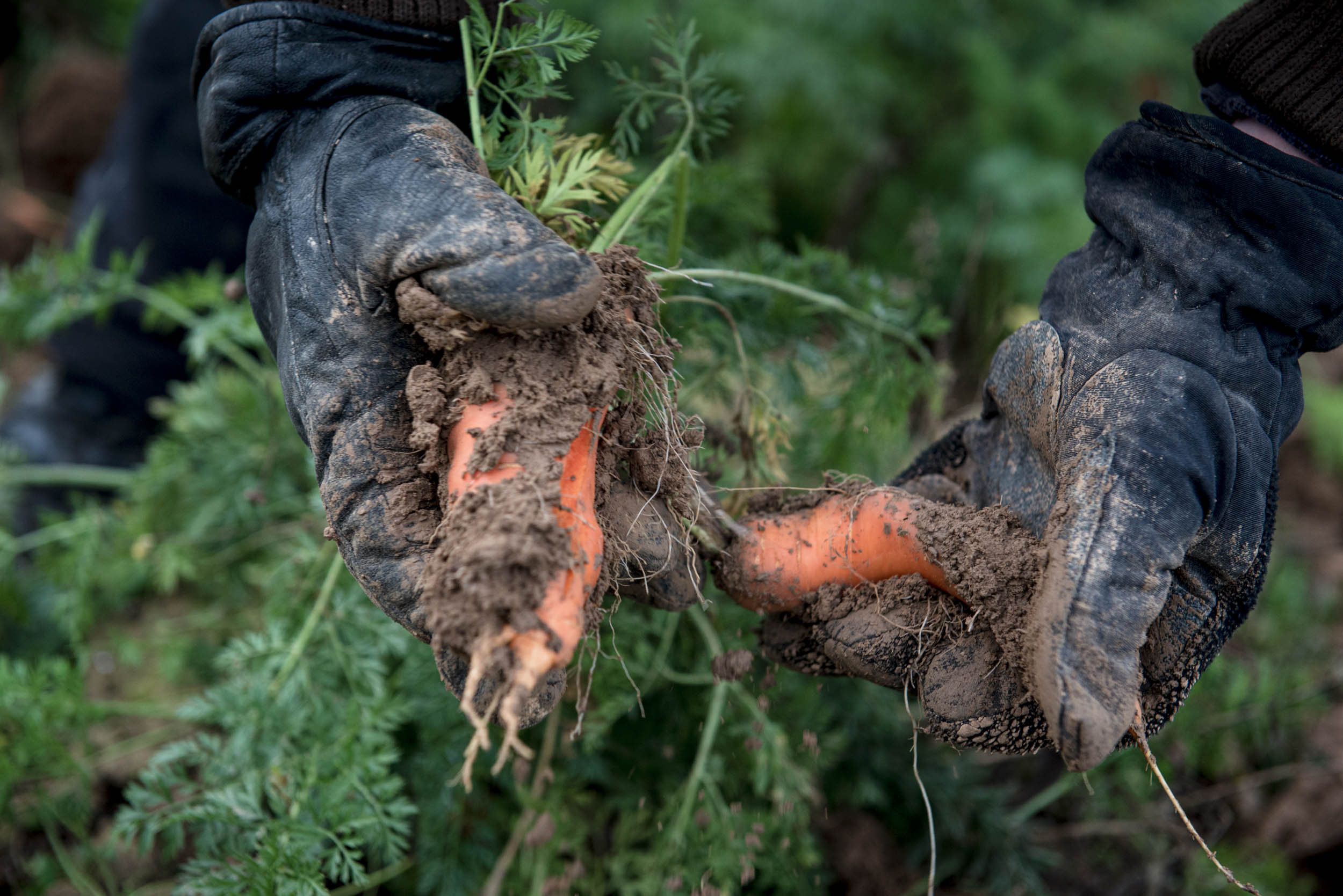 Jonas Nefzger Photography