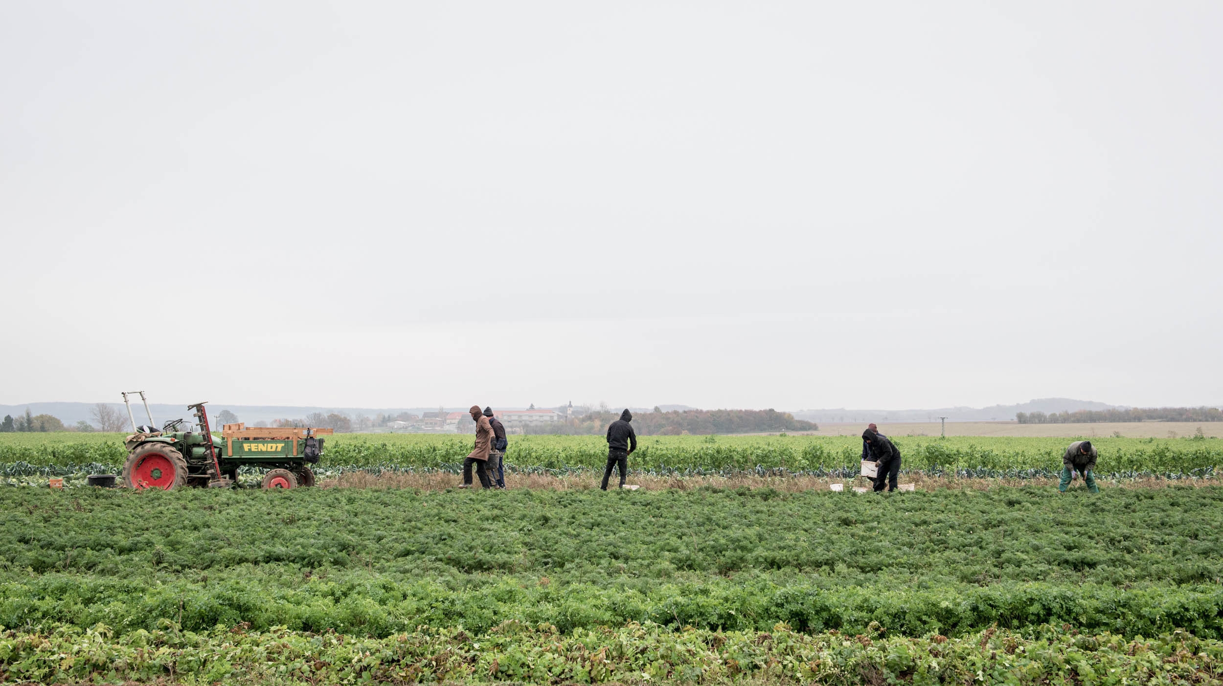 Jonas Nefzger Photography