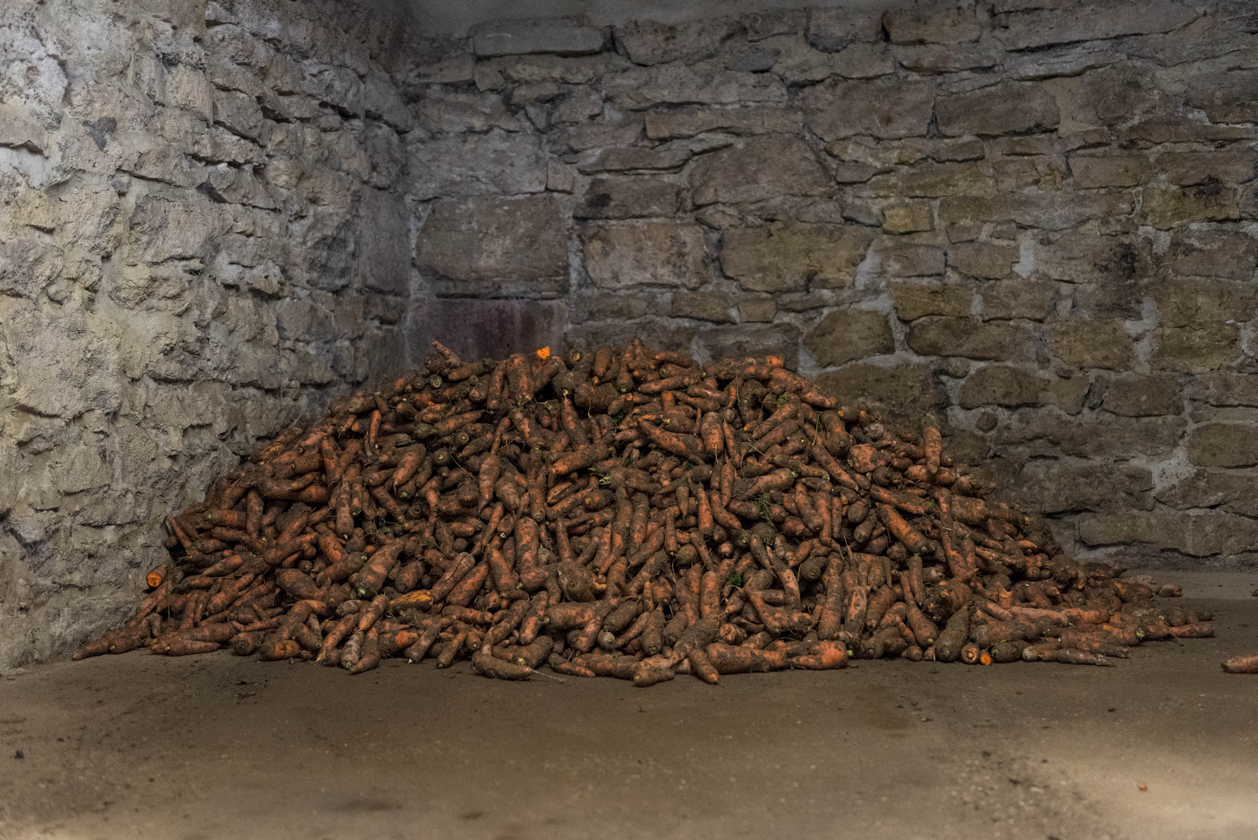 Jonas Nefzger Photography