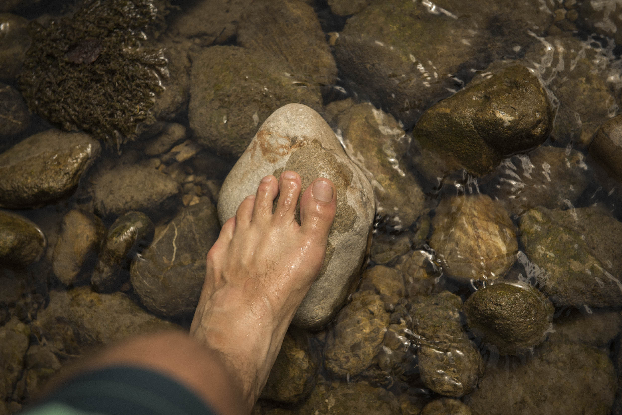 Jonas Nefzger Photography