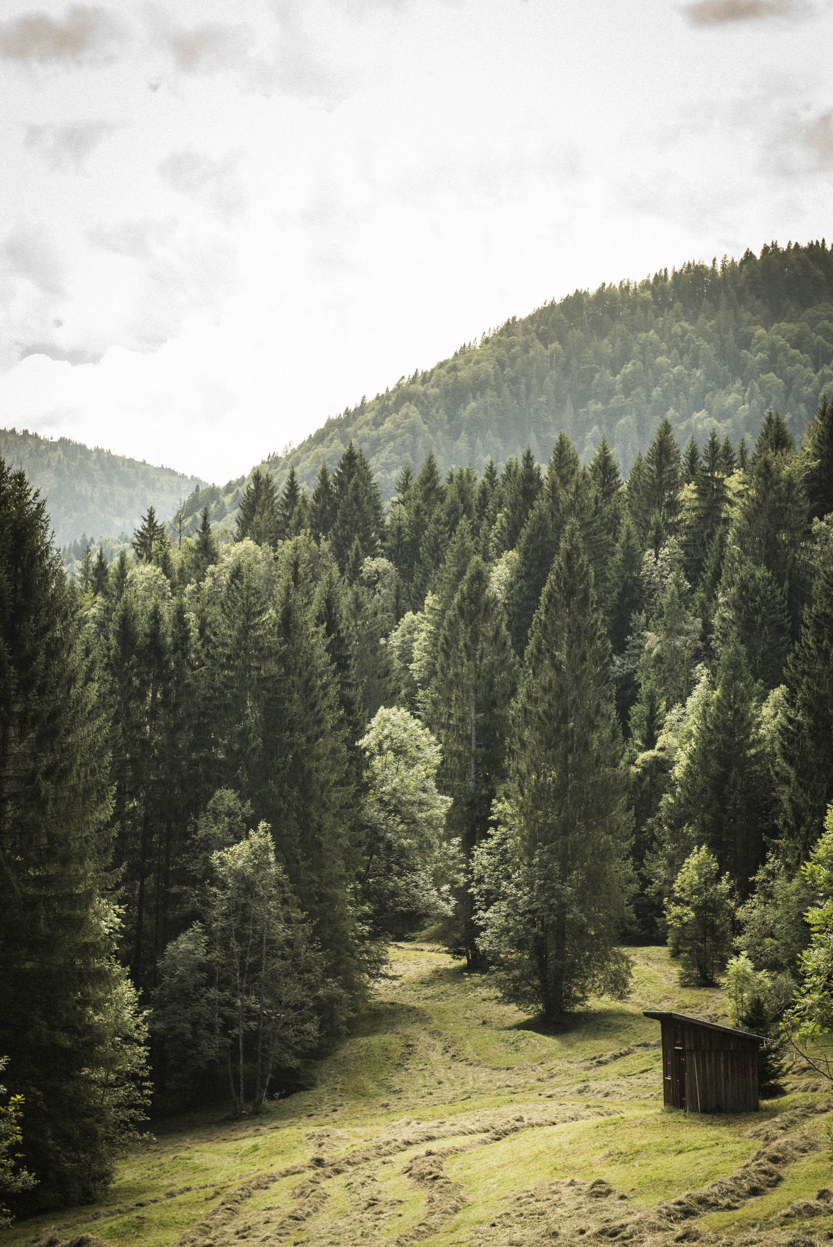 Jonas Nefzger Photography