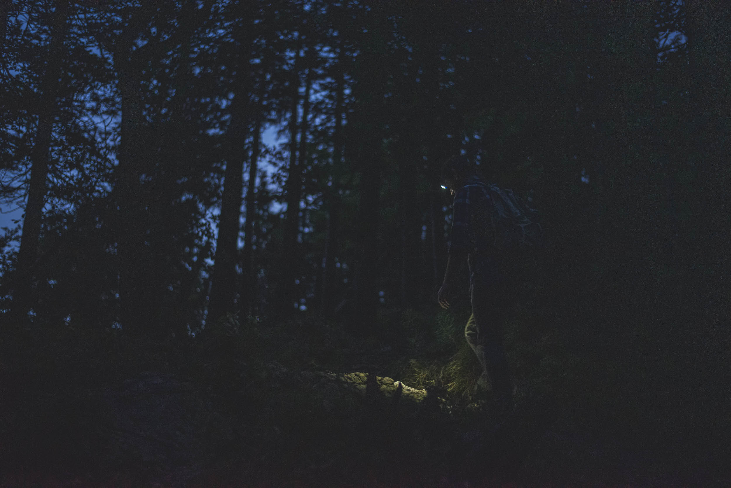 Jonas Nefzger Photography