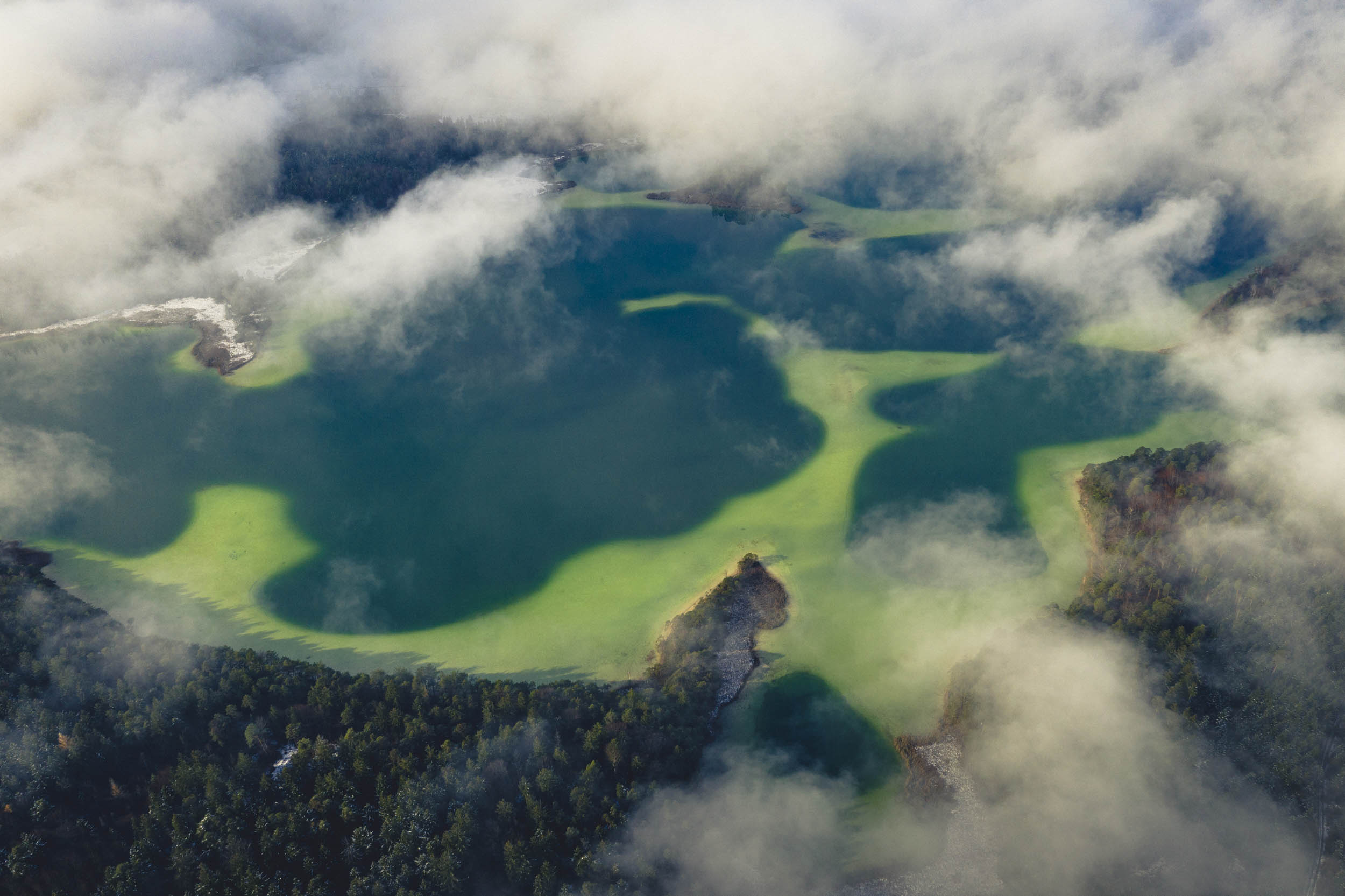 Jonas Nefzger Photography