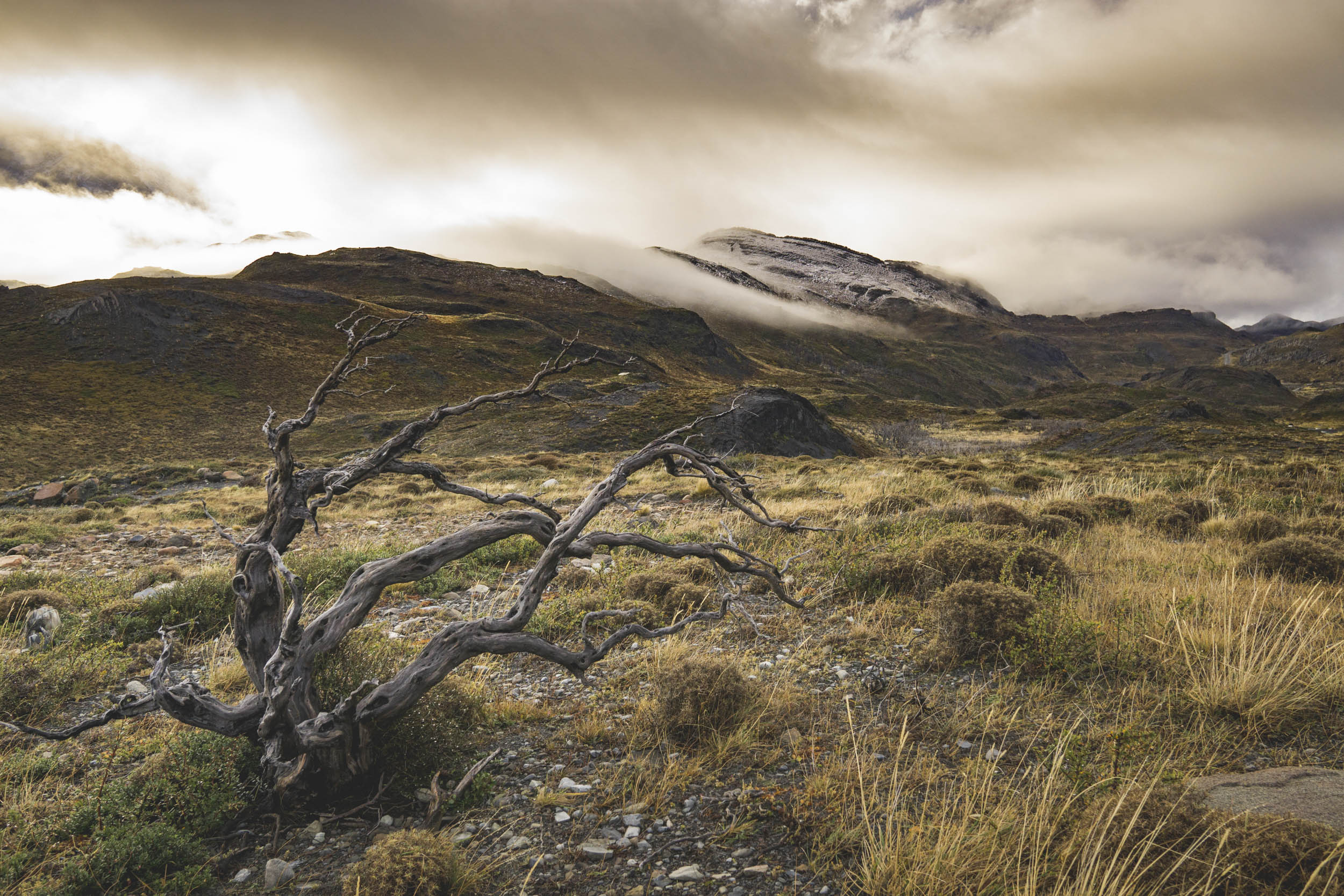 Jonas Nefzger Photography