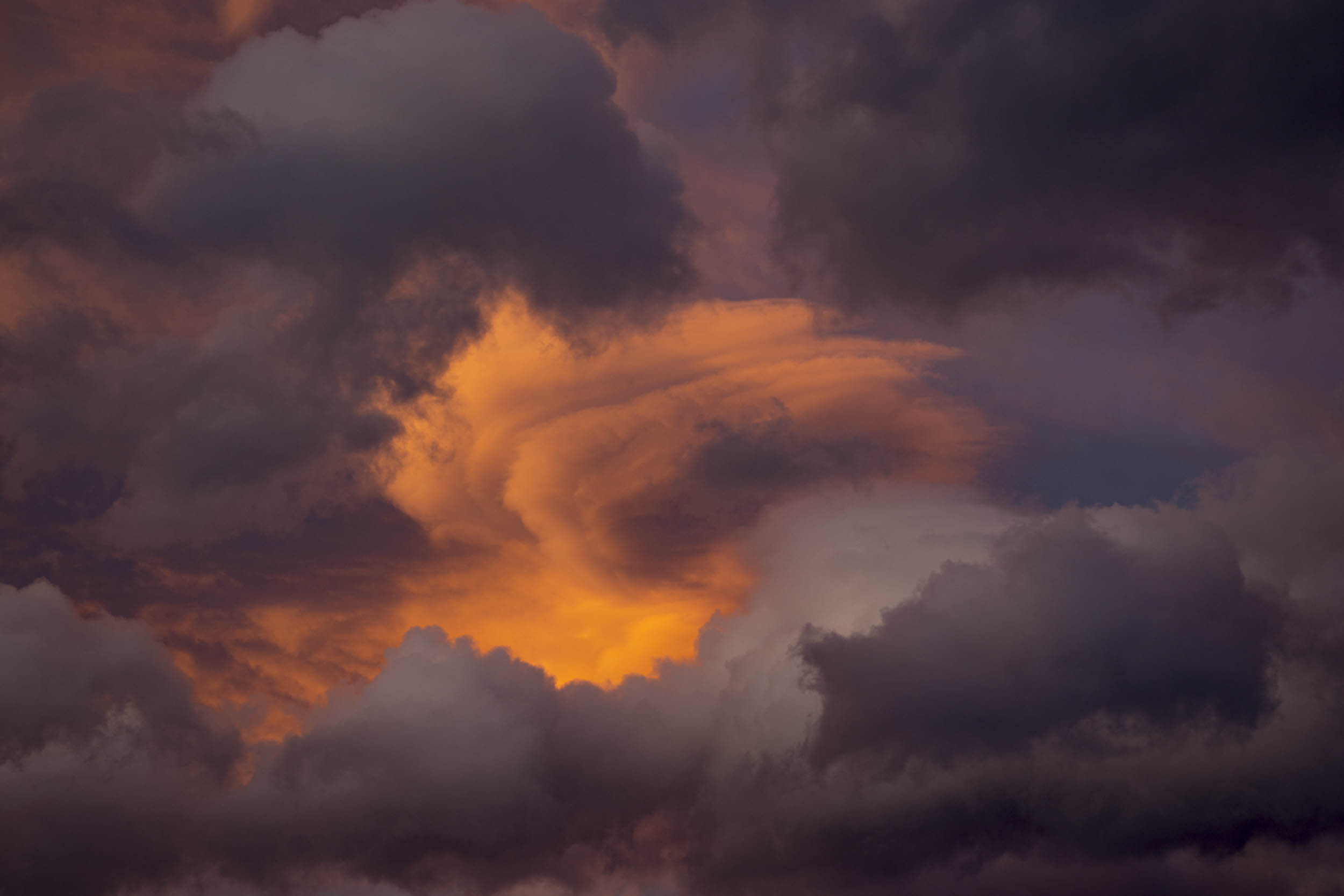 Jonas Nefzger Photography