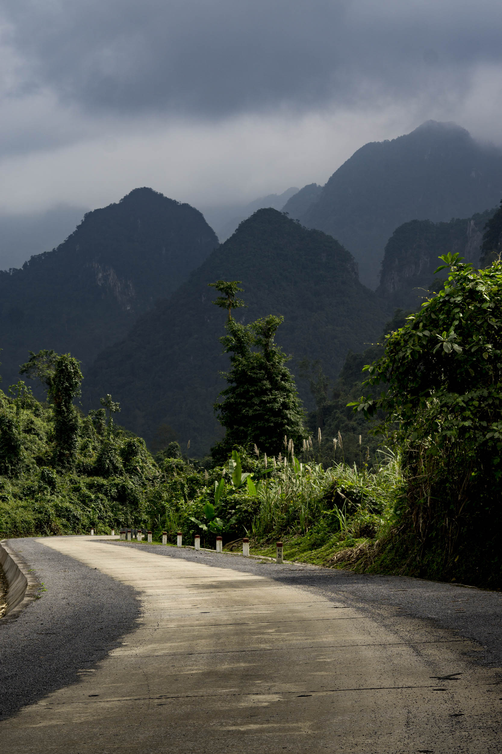 Jonas Nefzger Photography