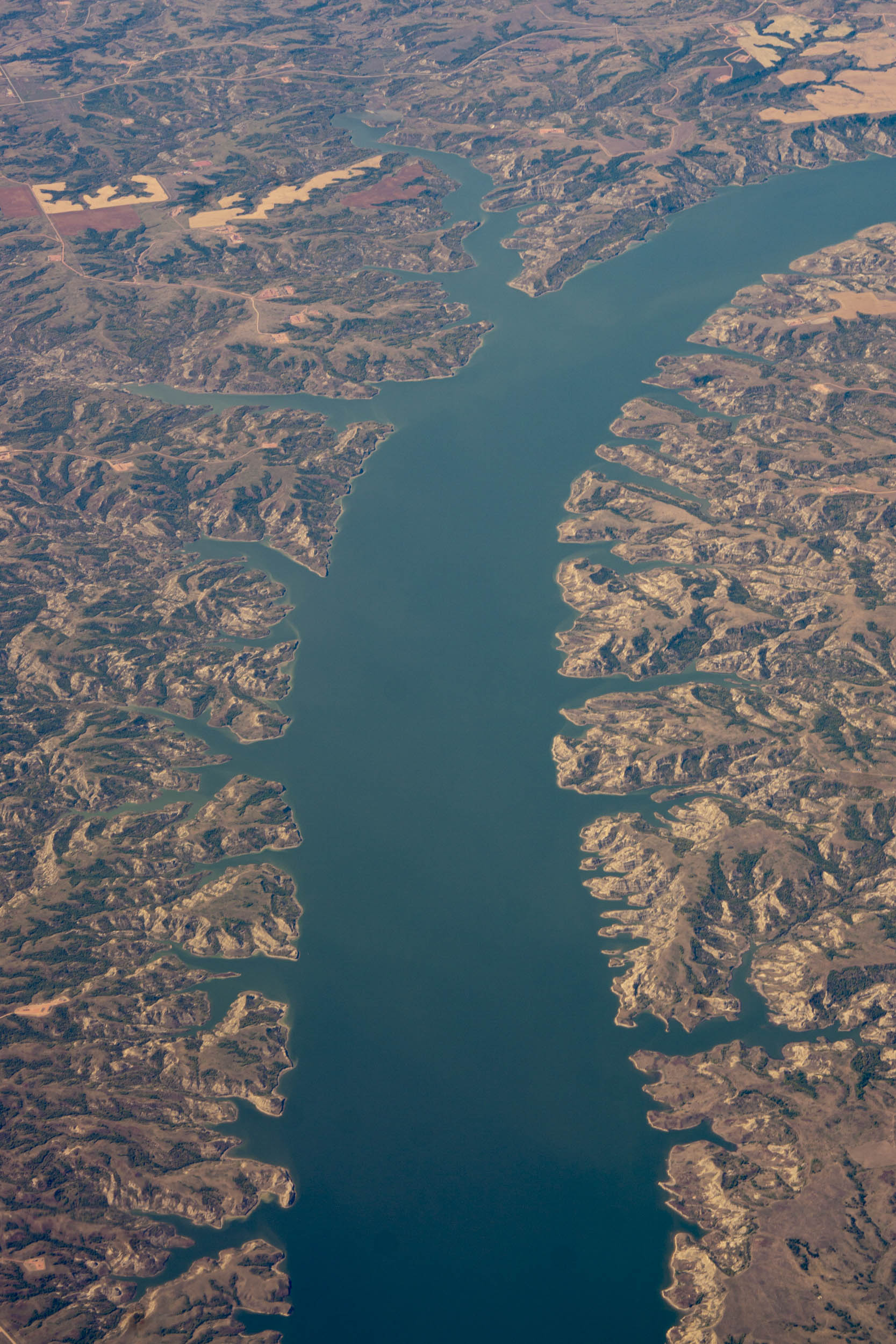 Jonas Nefzger Photography