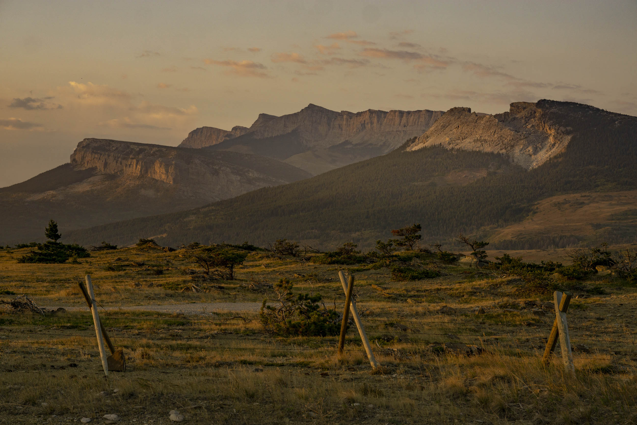 Jonas Nefzger Photography