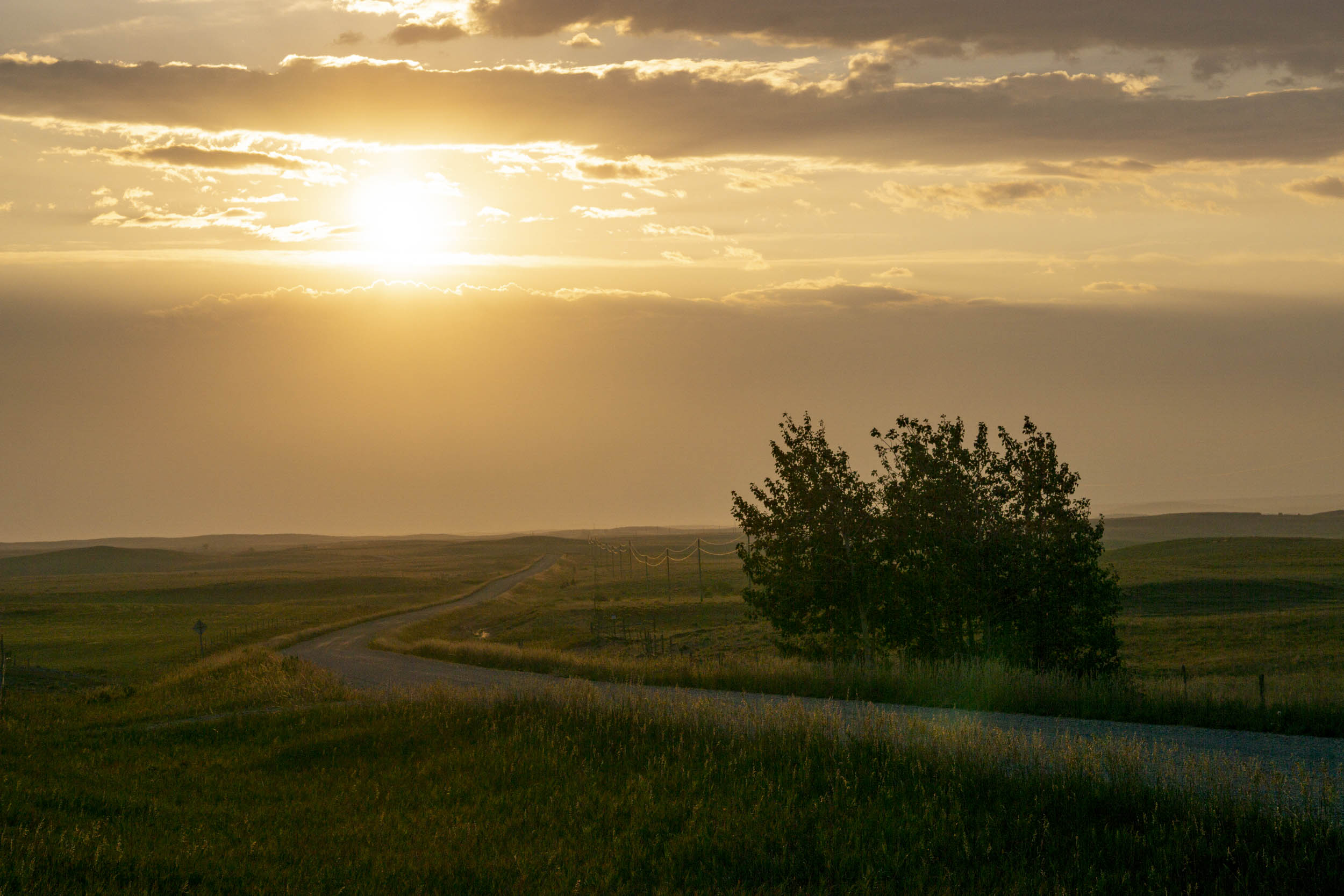 Jonas Nefzger Photography