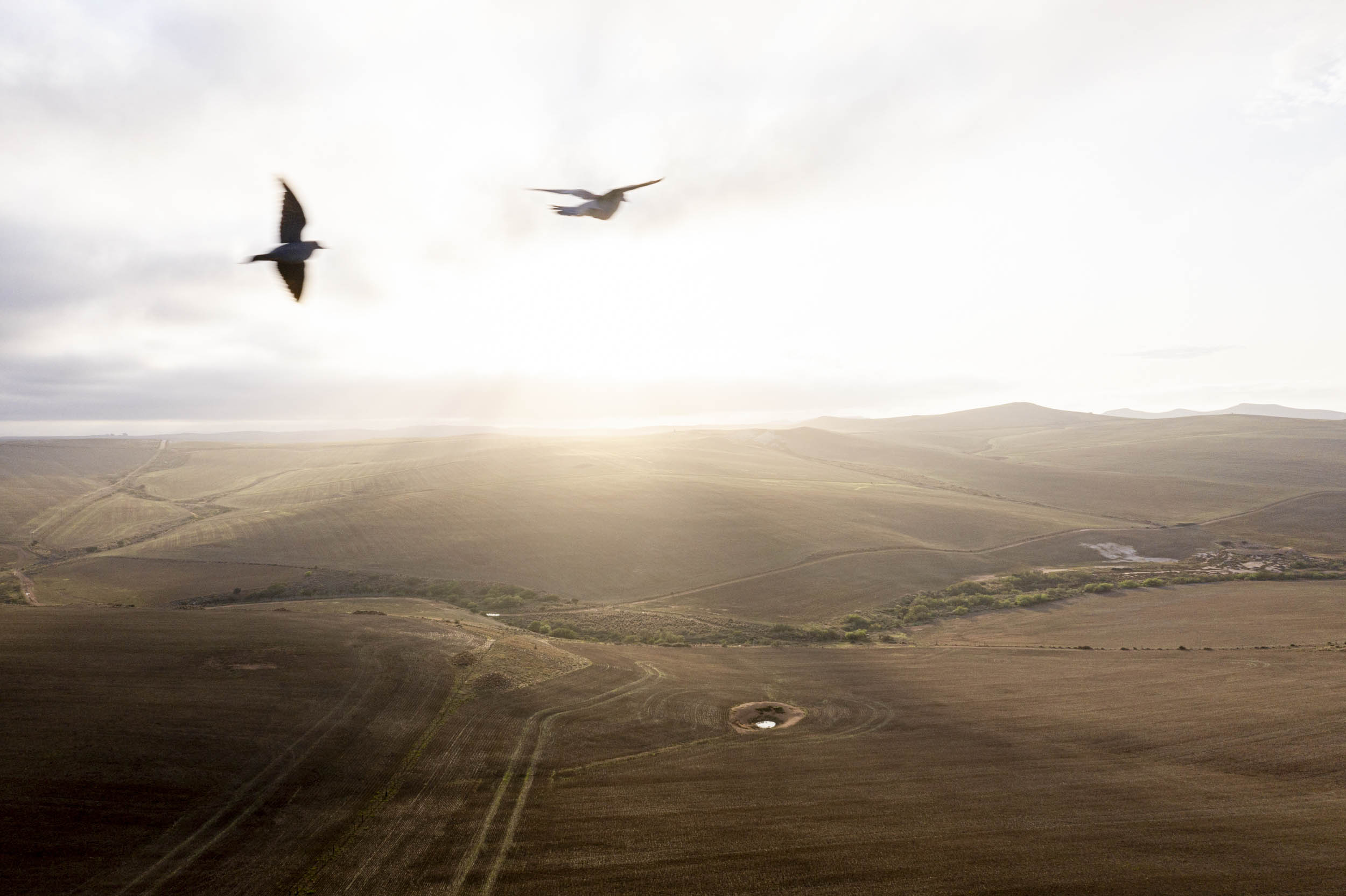 Jonas Nefzger Photography