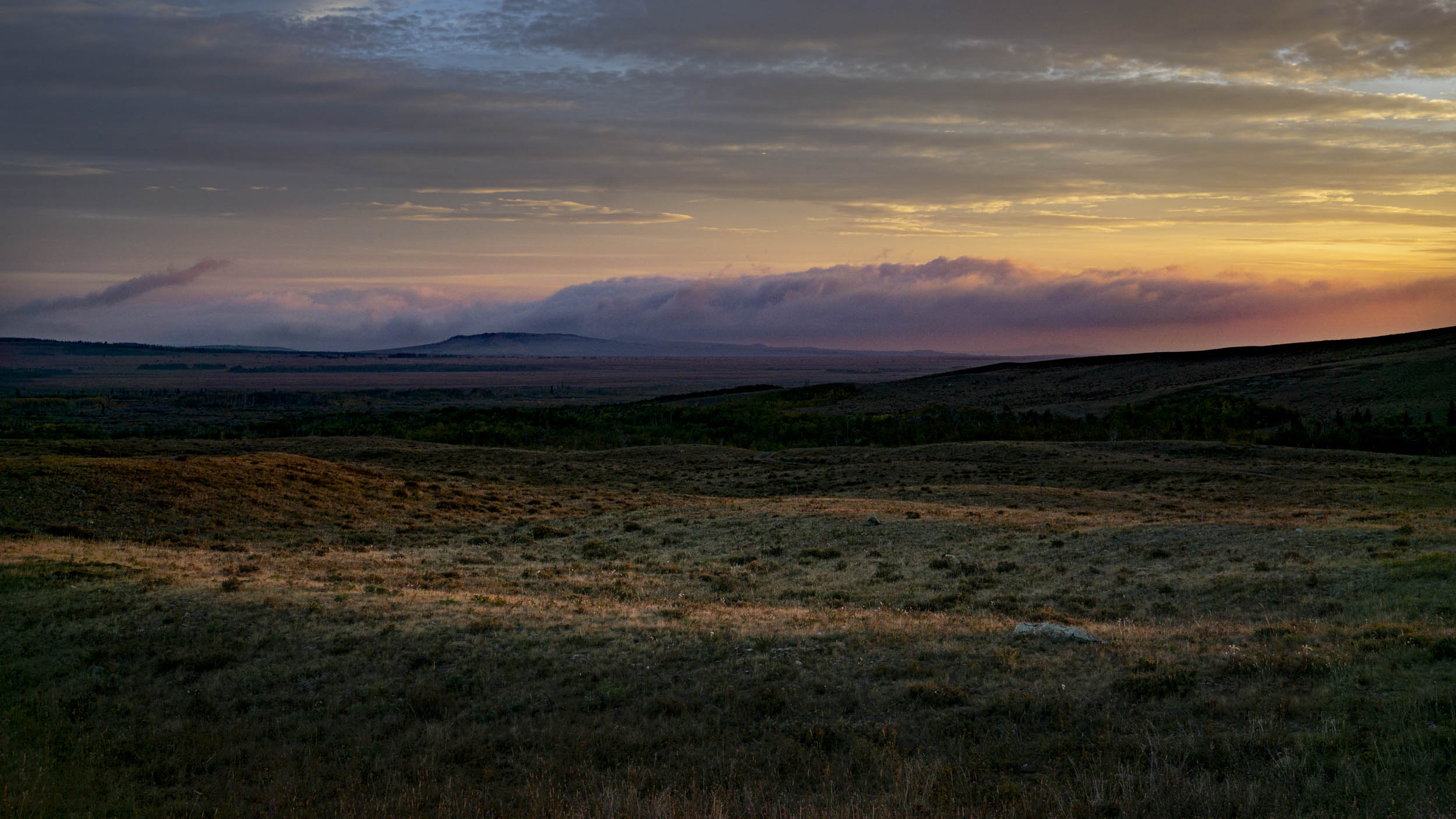 Jonas Nefzger Photography